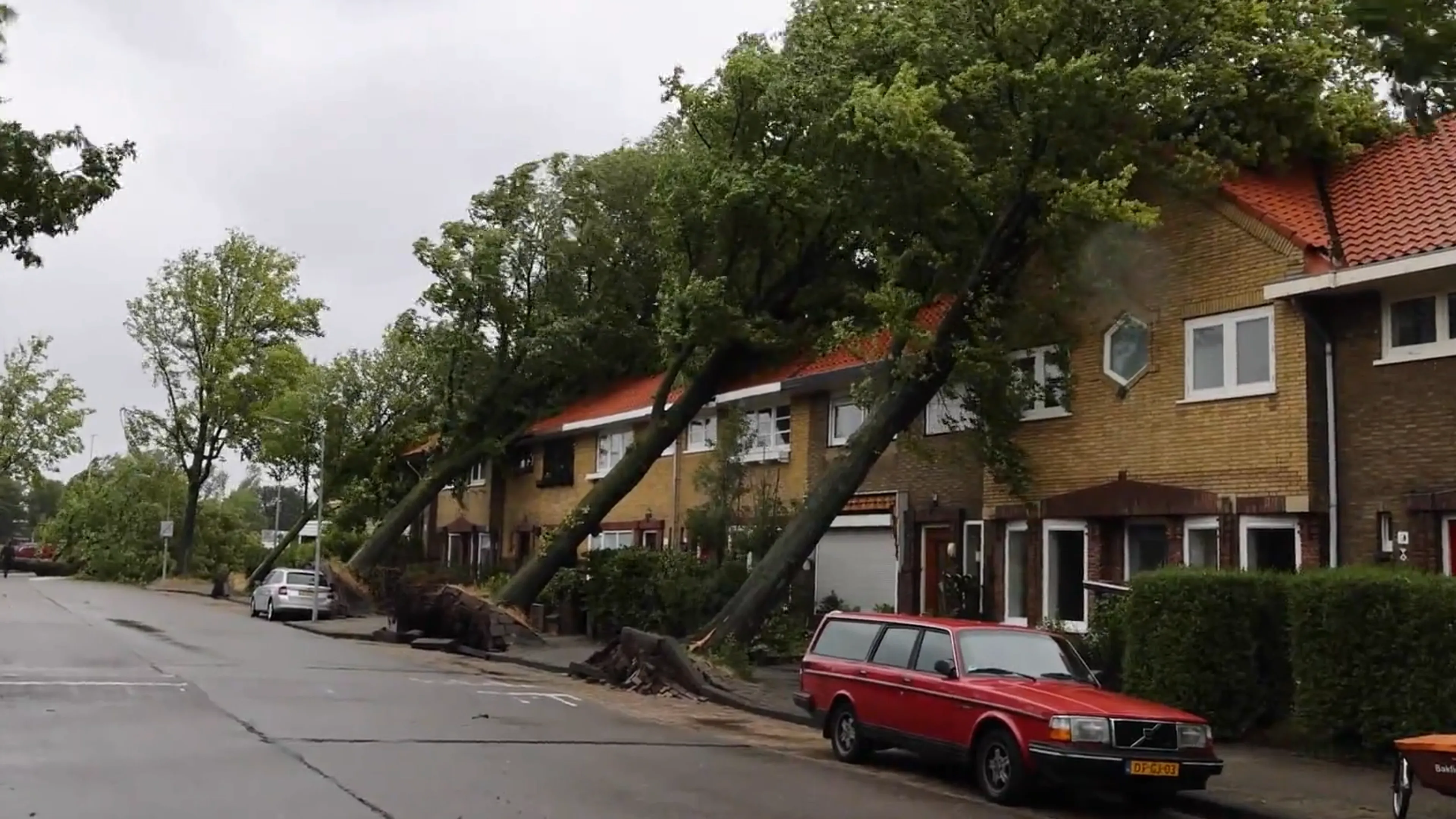 Schade door storm Poly? Dit is waarvoor je (niet) verzekerd bent