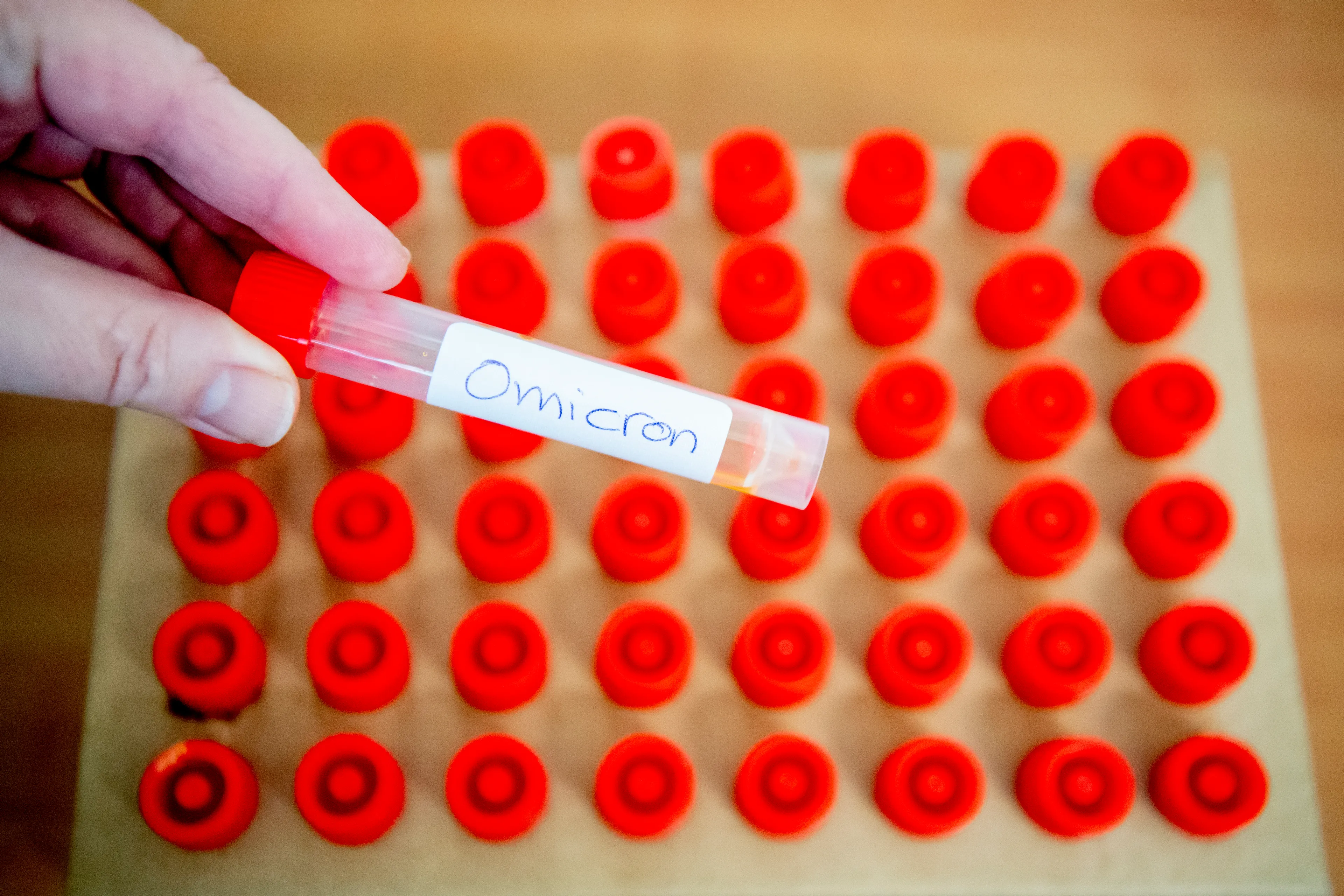 RIVM stelt nieuwe variant van omikron vast in Nederland