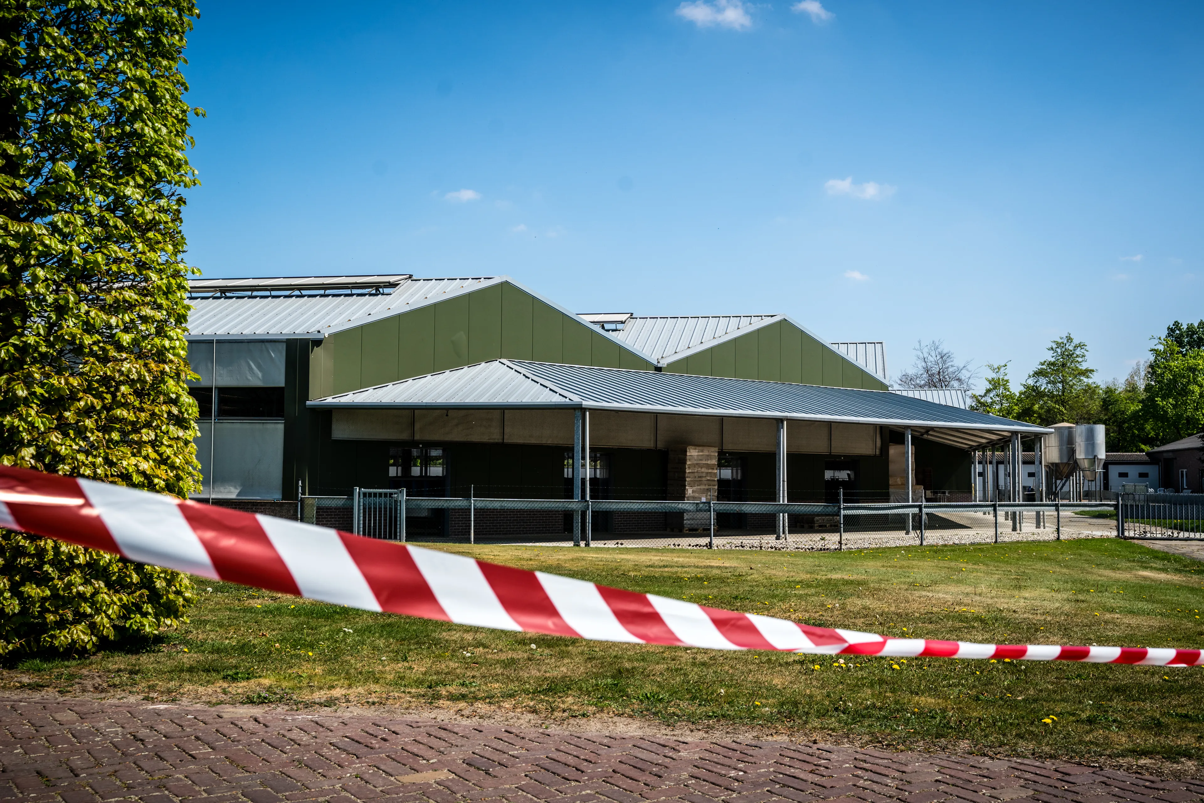 Zes nertsenbedrijven worden geruimd vanwege corona, stopregeling voor fokkers