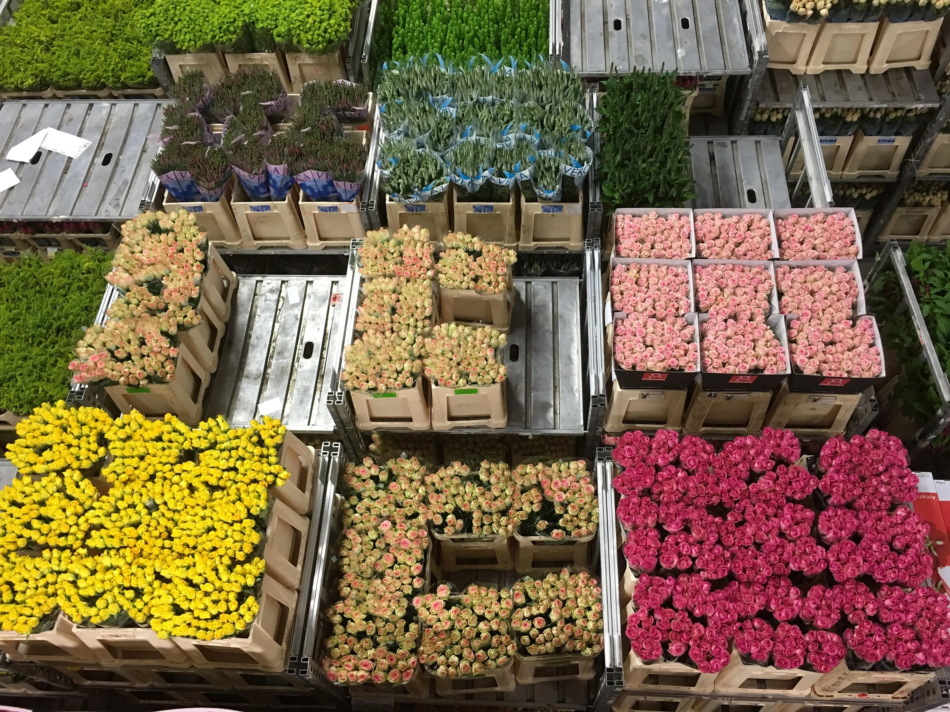 Een record! Nog nooit exporteerden we zoveel landbouwgoederen