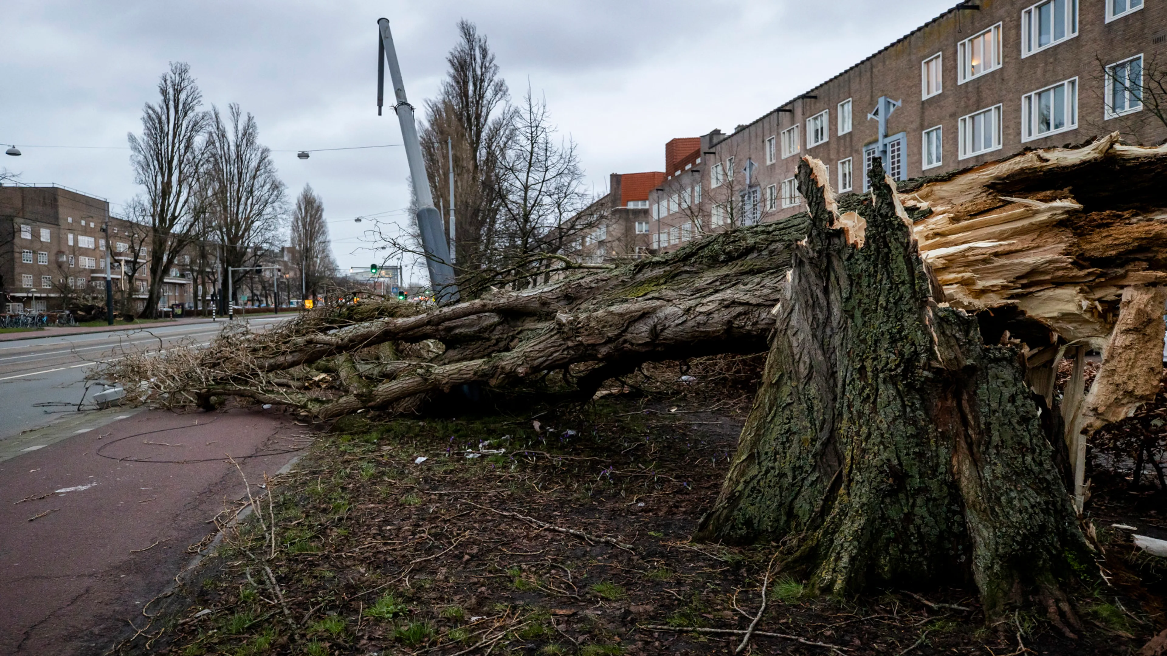 Vele honderden meldingen van schade bij veiligheidsregio's