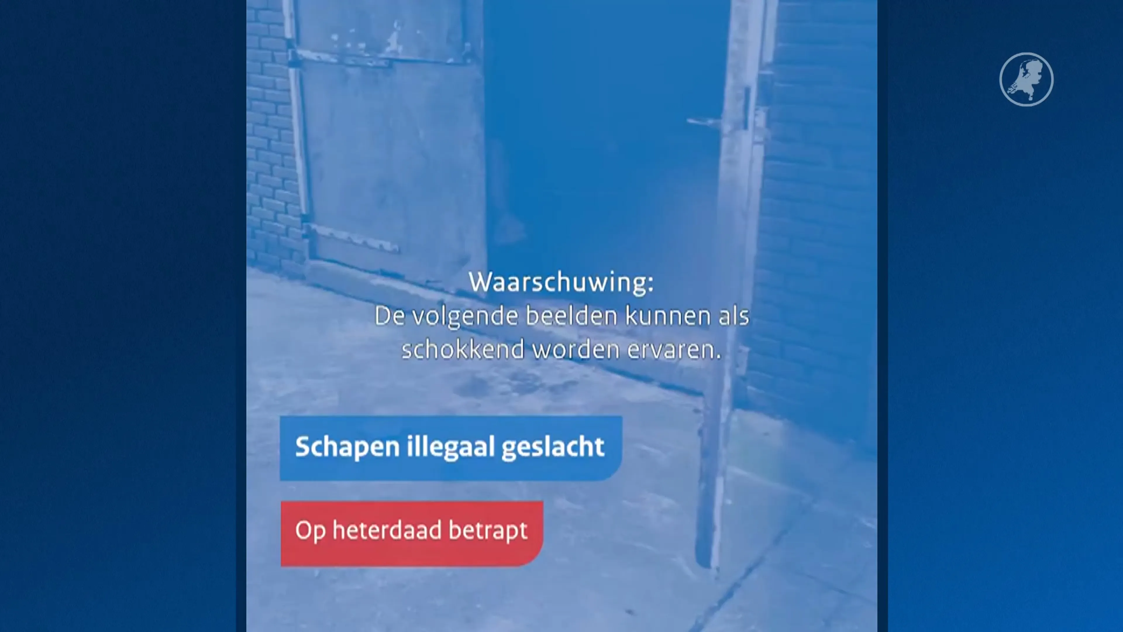 NVWA grijpt in bij illegale slachterij in Friesland