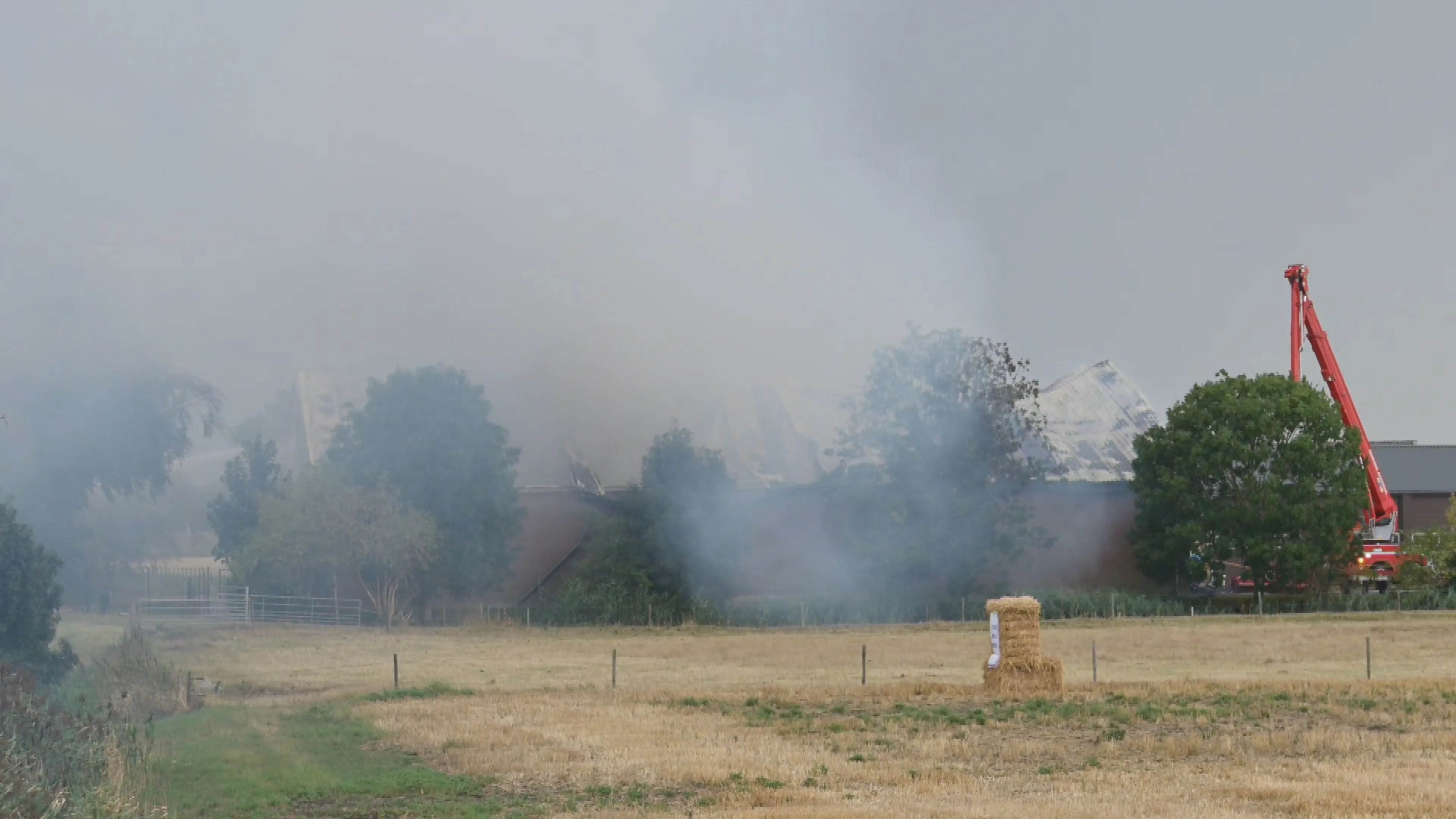 Vijf stieren omgekomen bij stalbrand, rook trekt over Zevenbergen