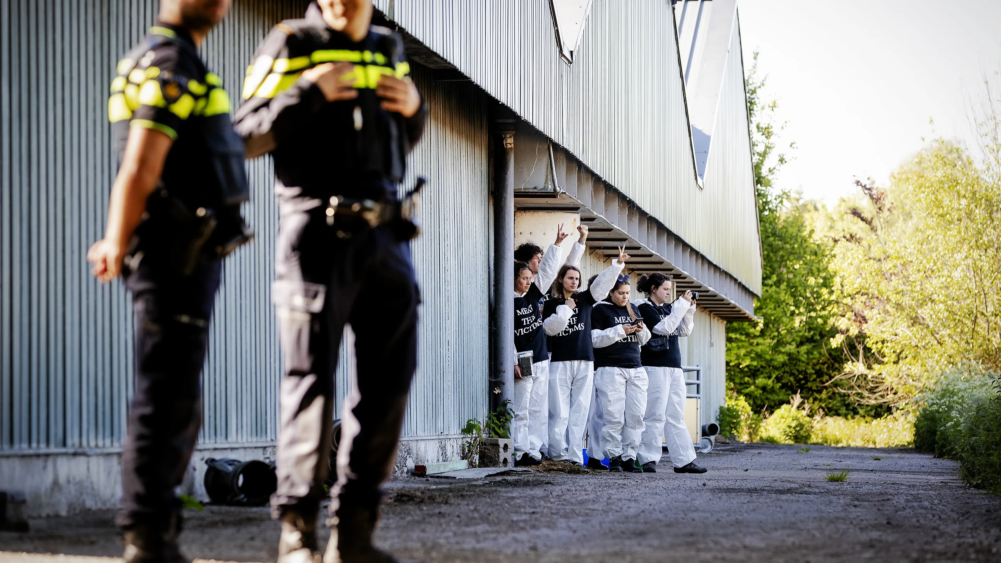 Farmers Defence Force dreigt dierenactivisten zelf aan te pakken: 'Wij zijn voorbereid'