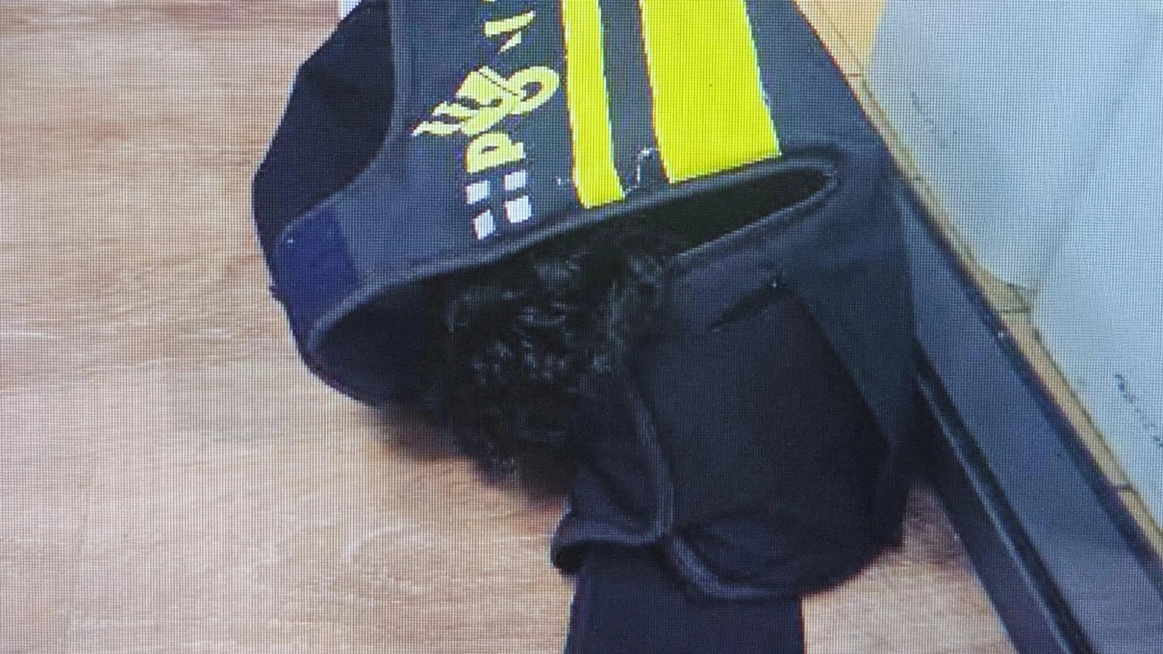 Puppy mogelijk geschopt door baasje, politie neemt hondje in beslag