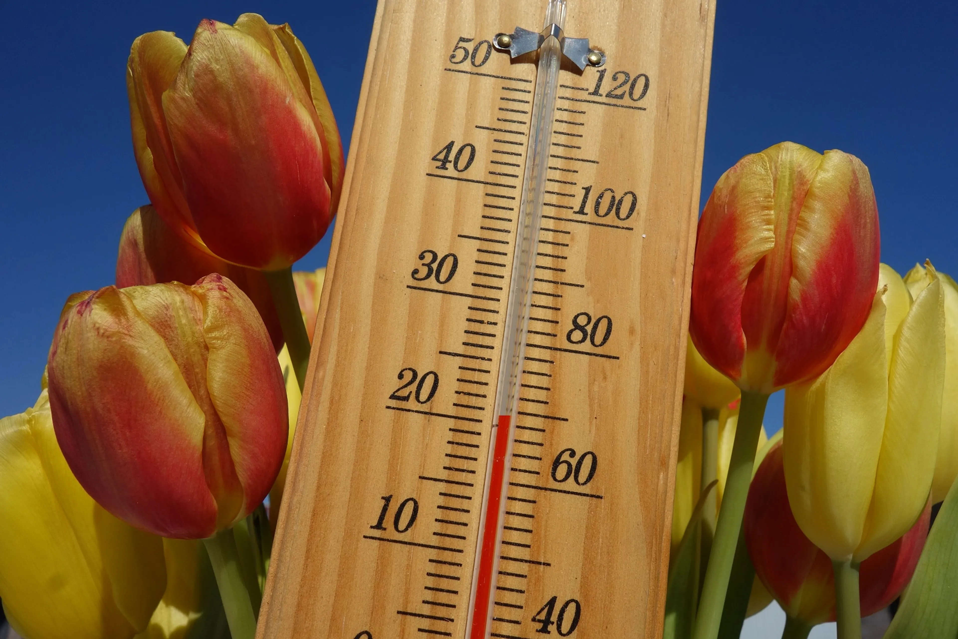 Thermometer tikt boven de 20 graden aan: eerste landelijke warme dag van het jaar