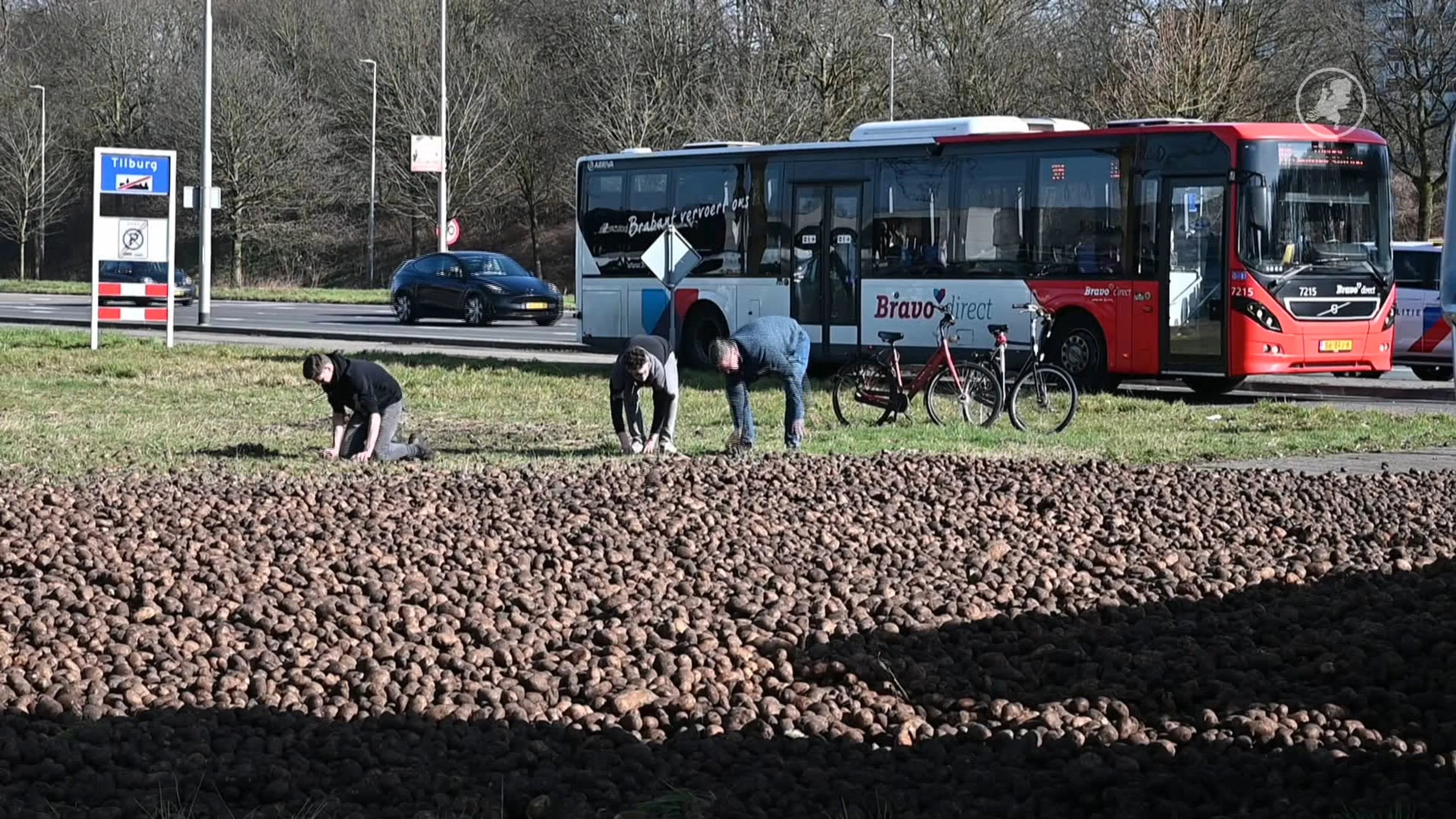 Vrachtwagen kantelt, weg bezaaid met tienduizenden aardappels