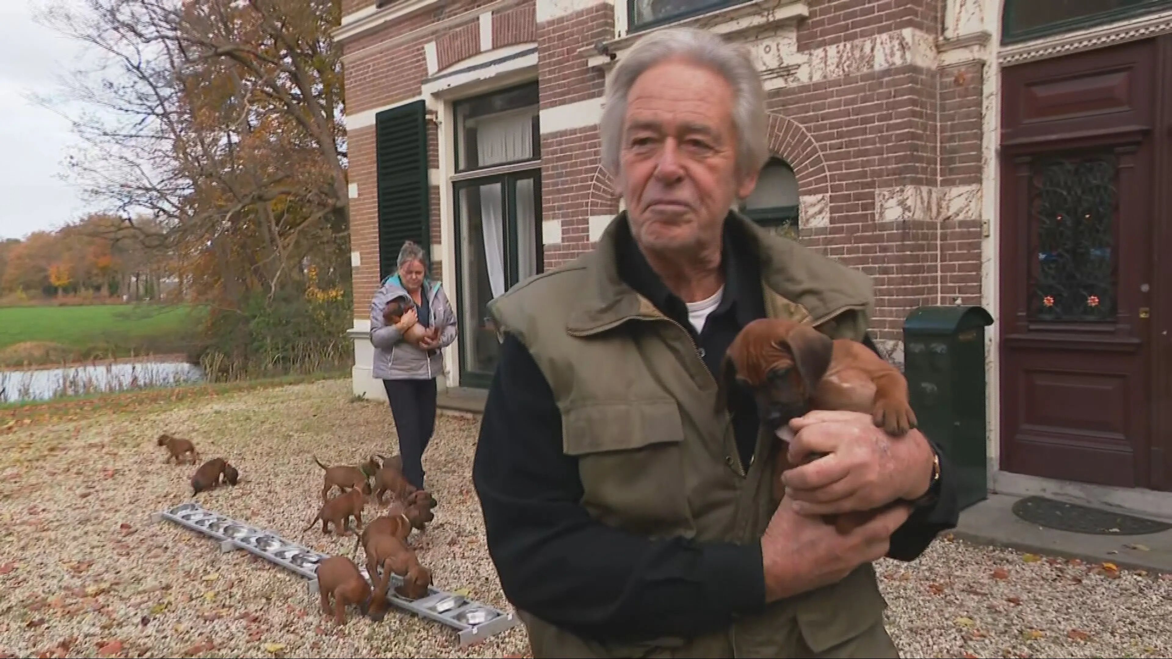 Chaos door puppyboom bij Eddy en Annelies: 'Dag en nacht om de 2 uur voeden'