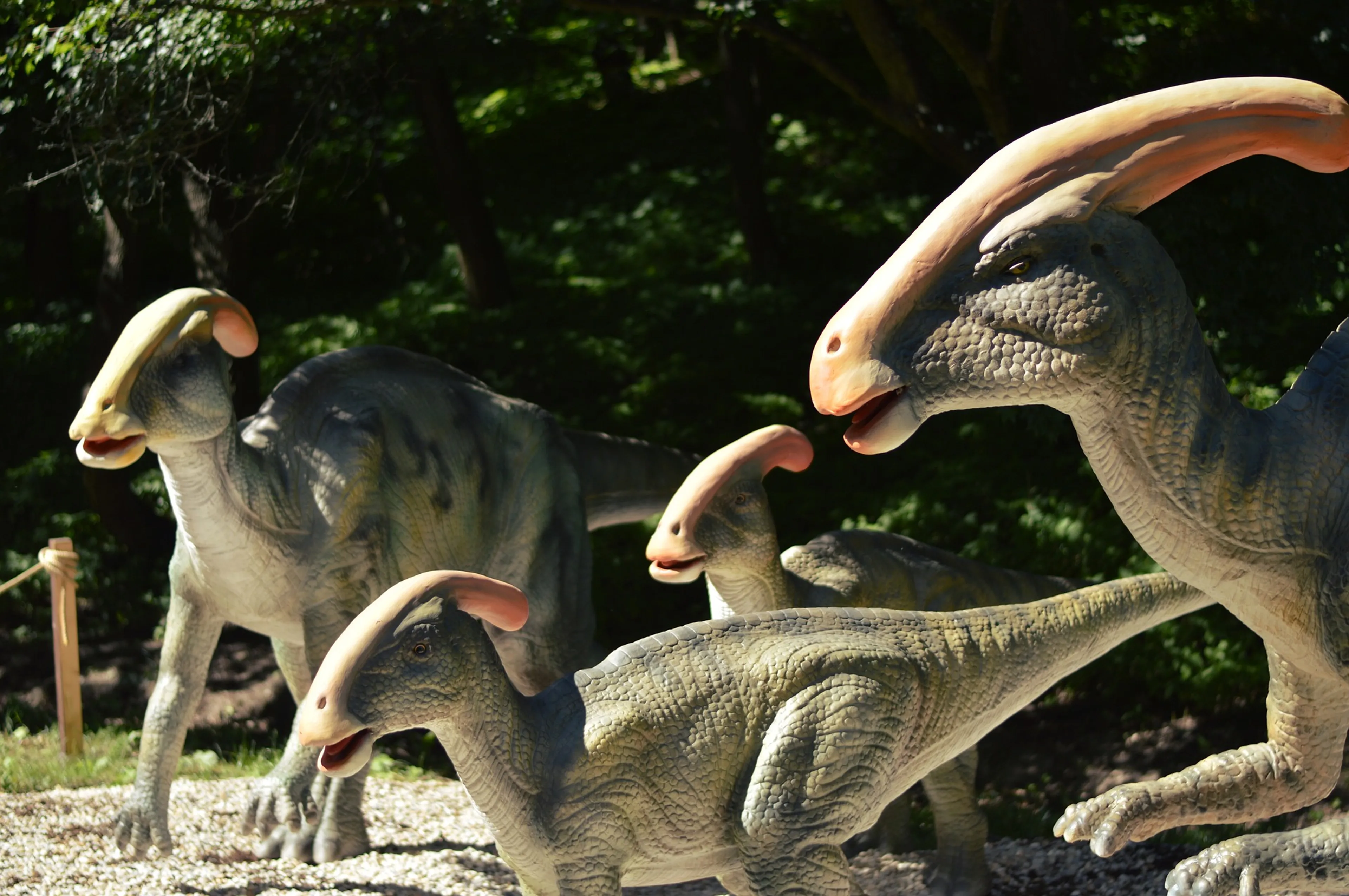 Rijkswaterstaat haalt tientallen dinosauriërs van de N33