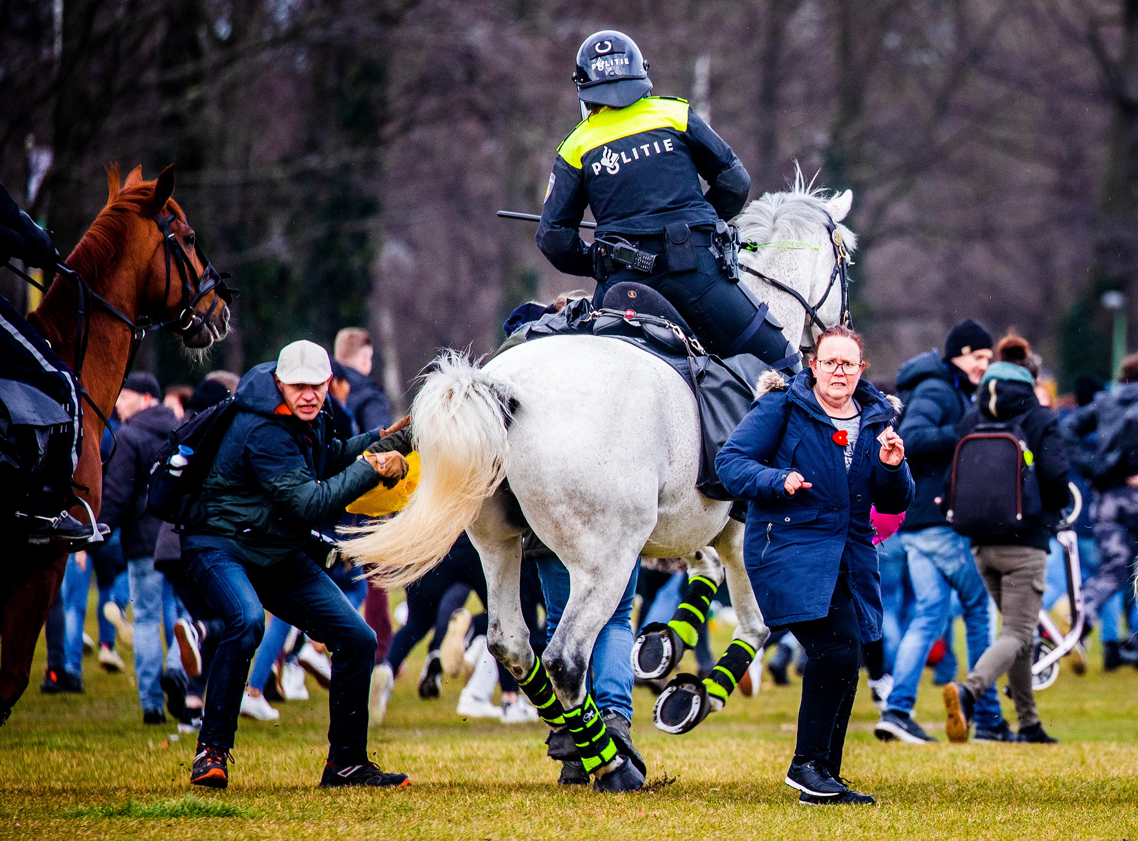 Verdachten van zwaarste geweld op Malieveld gezamenlijk voor de rechter