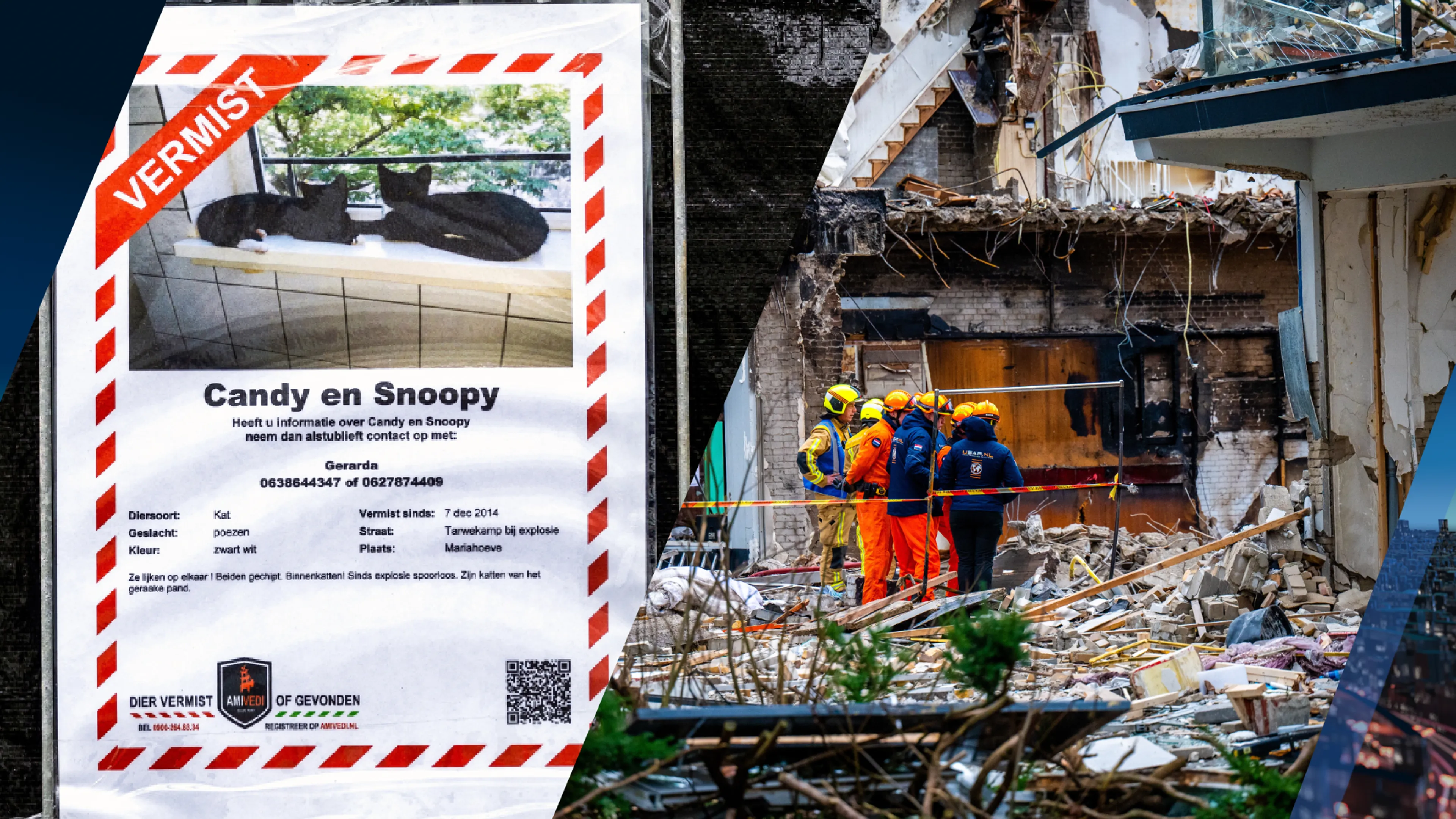 Waar zijn Candy en Snoopy? Katten spoorloos na explosies Tarwekamp