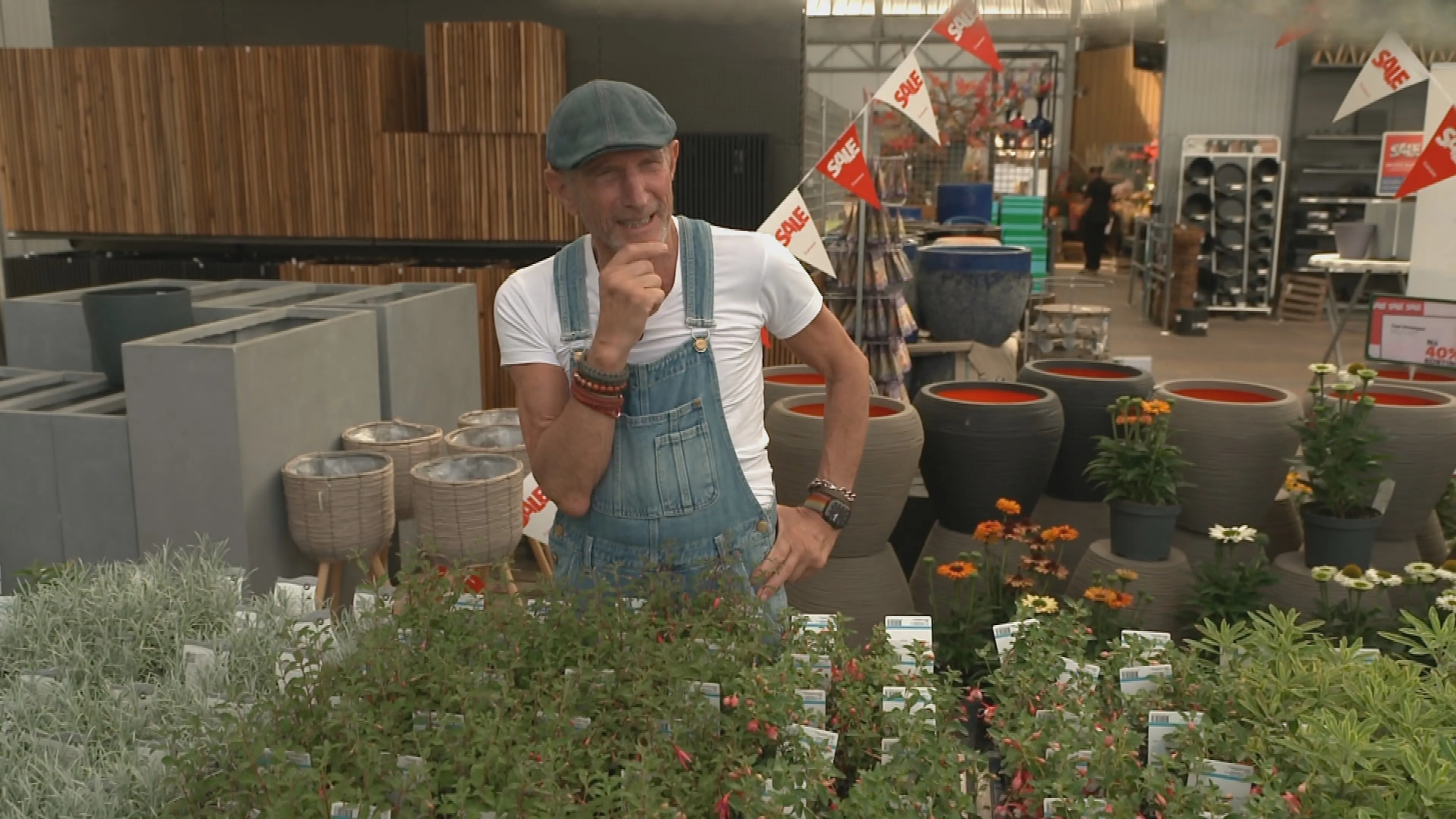 Droogte funest voor je tuin? Met deze planten zit je goed