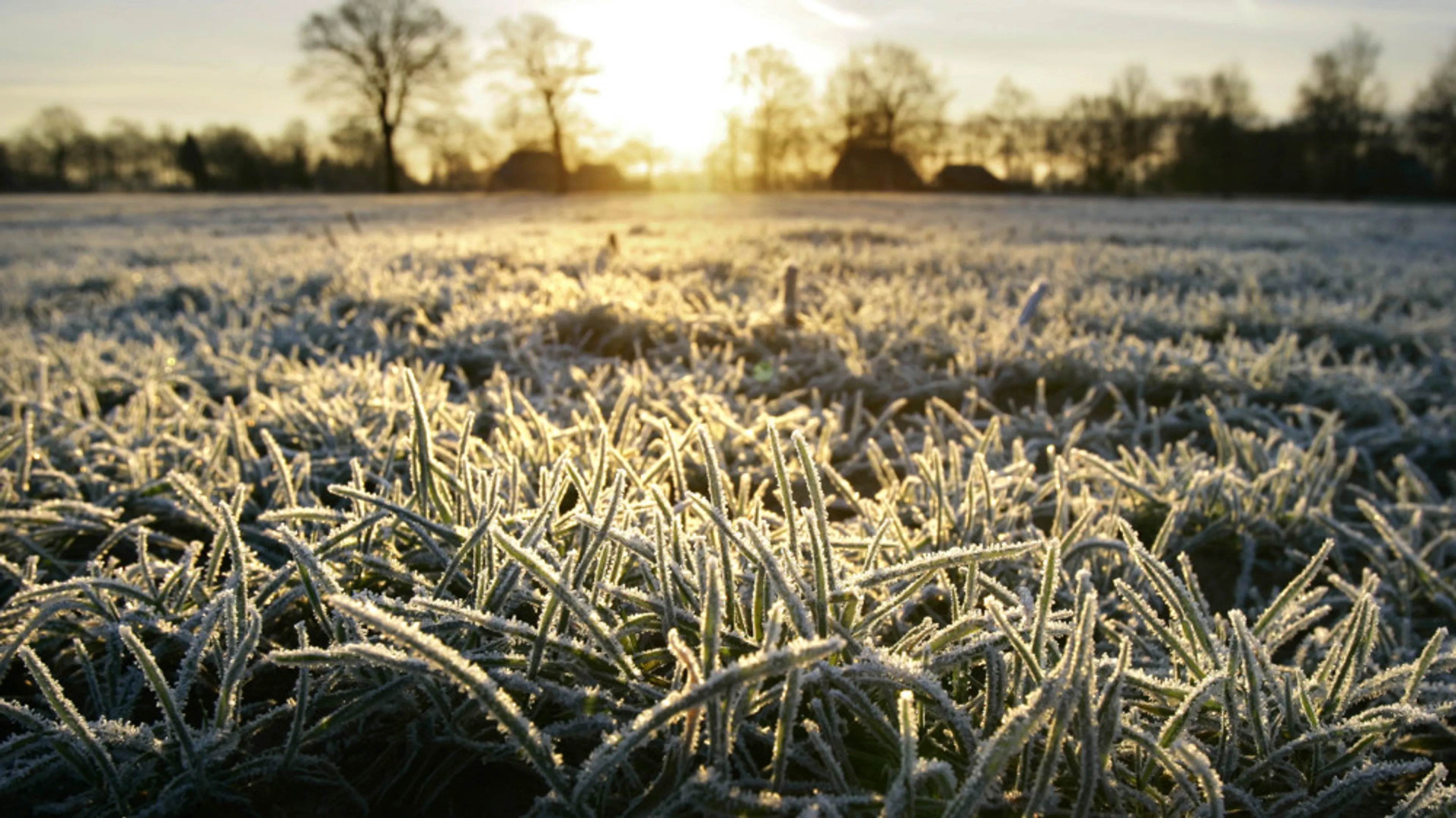 Jaarwisseling blijft grotendeels droog, winterse buien op komst