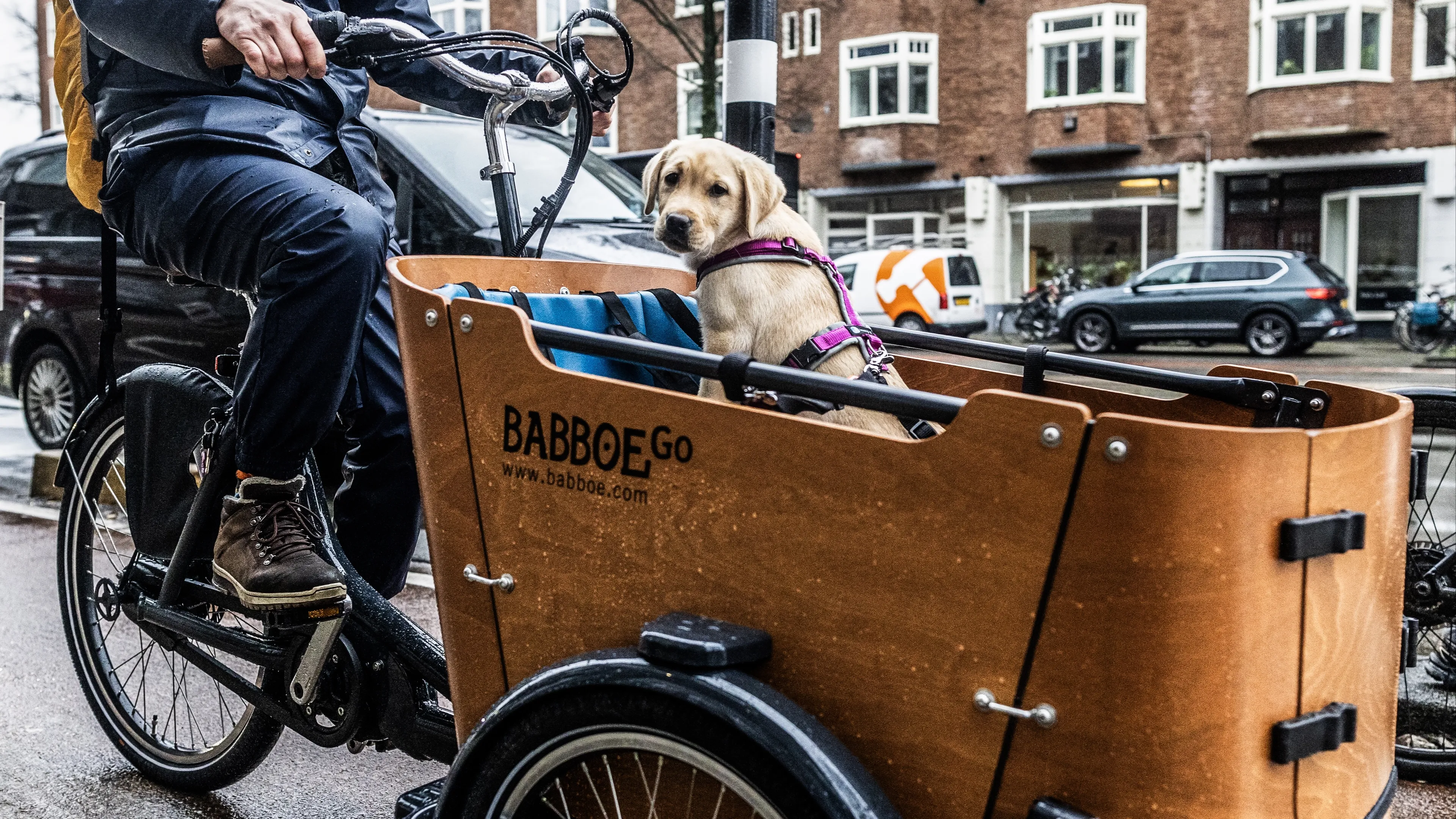Accell failliet: fietsenfabrikant achter Batavus, Babboe en Sparta