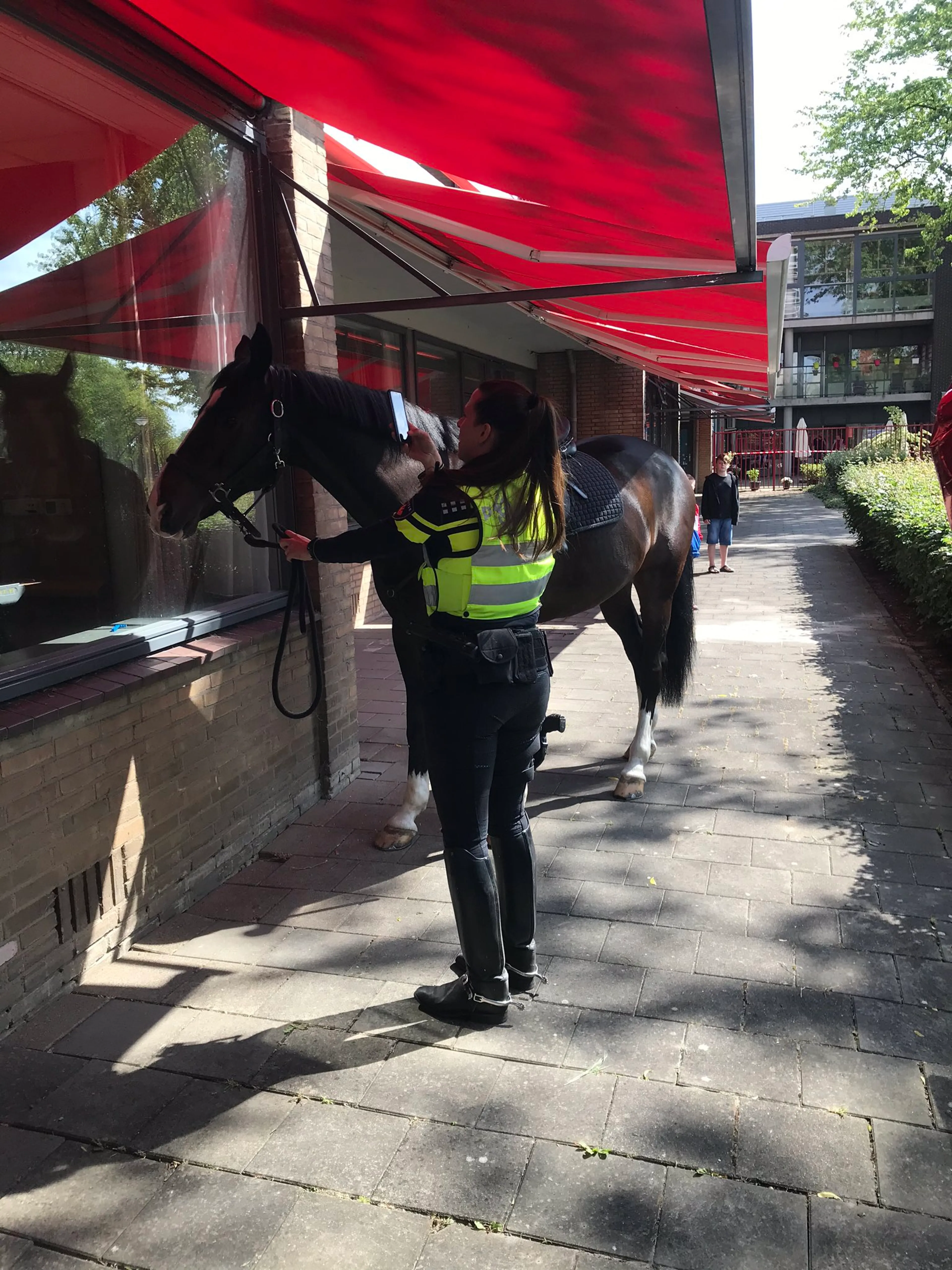 Politiepaard Bono rukt weer uit voor Rotterdamse oma Jopie (99)