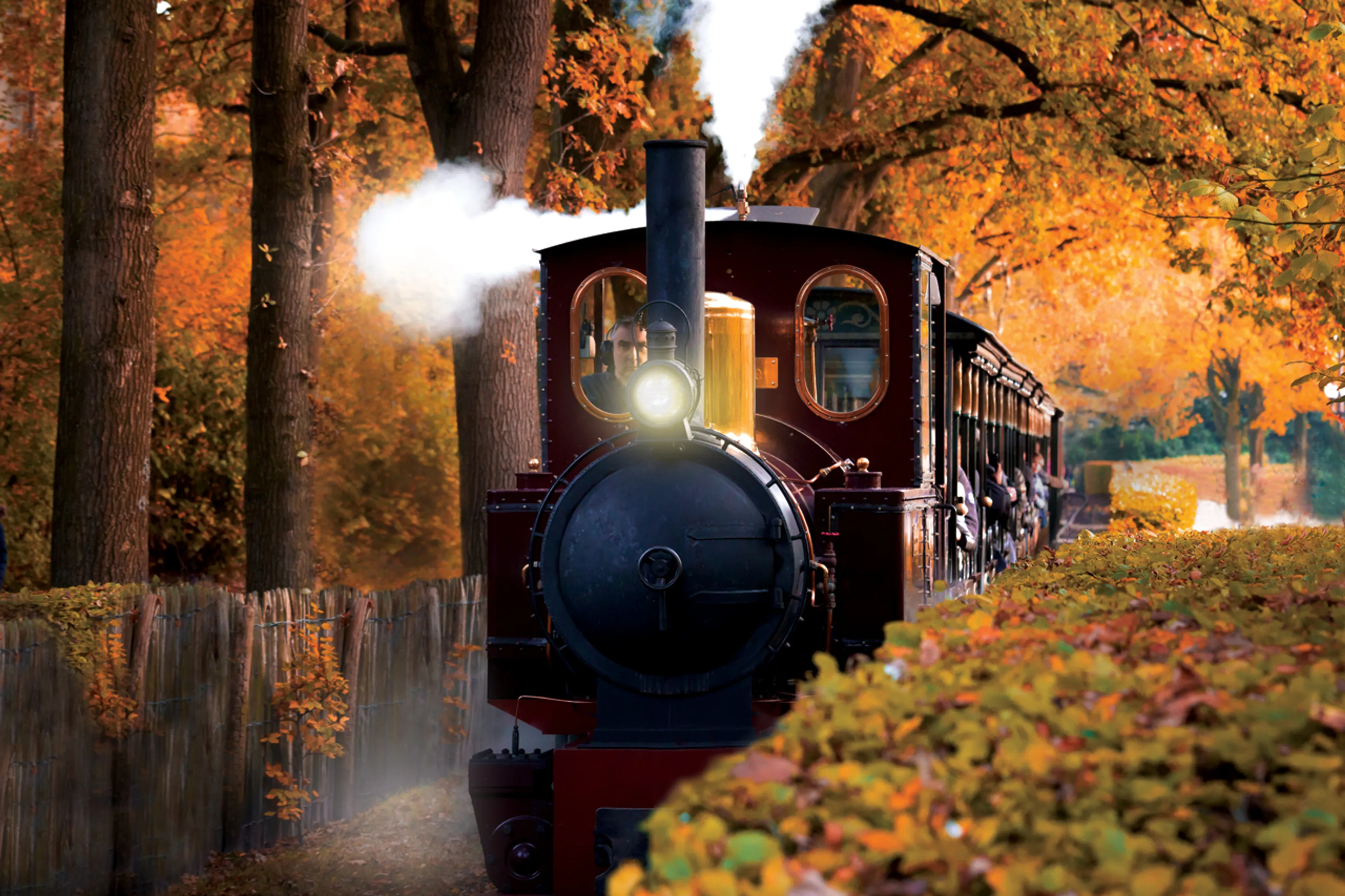 Efteling-stoomtrein knalt tegen vrachtwagen, tientallen passagiers met klachten