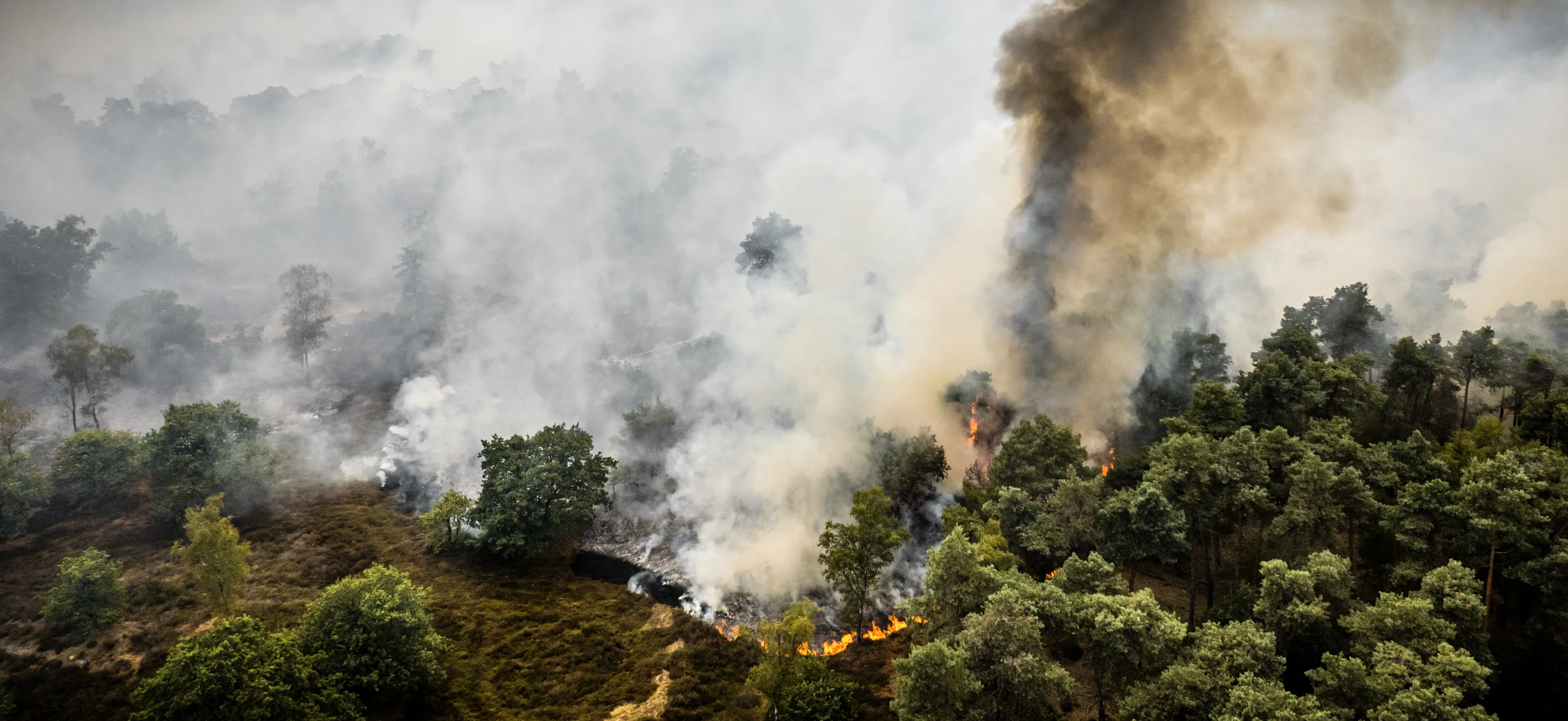 NL-Alert verstuurd om rook bij grote natuurbrand Limburg