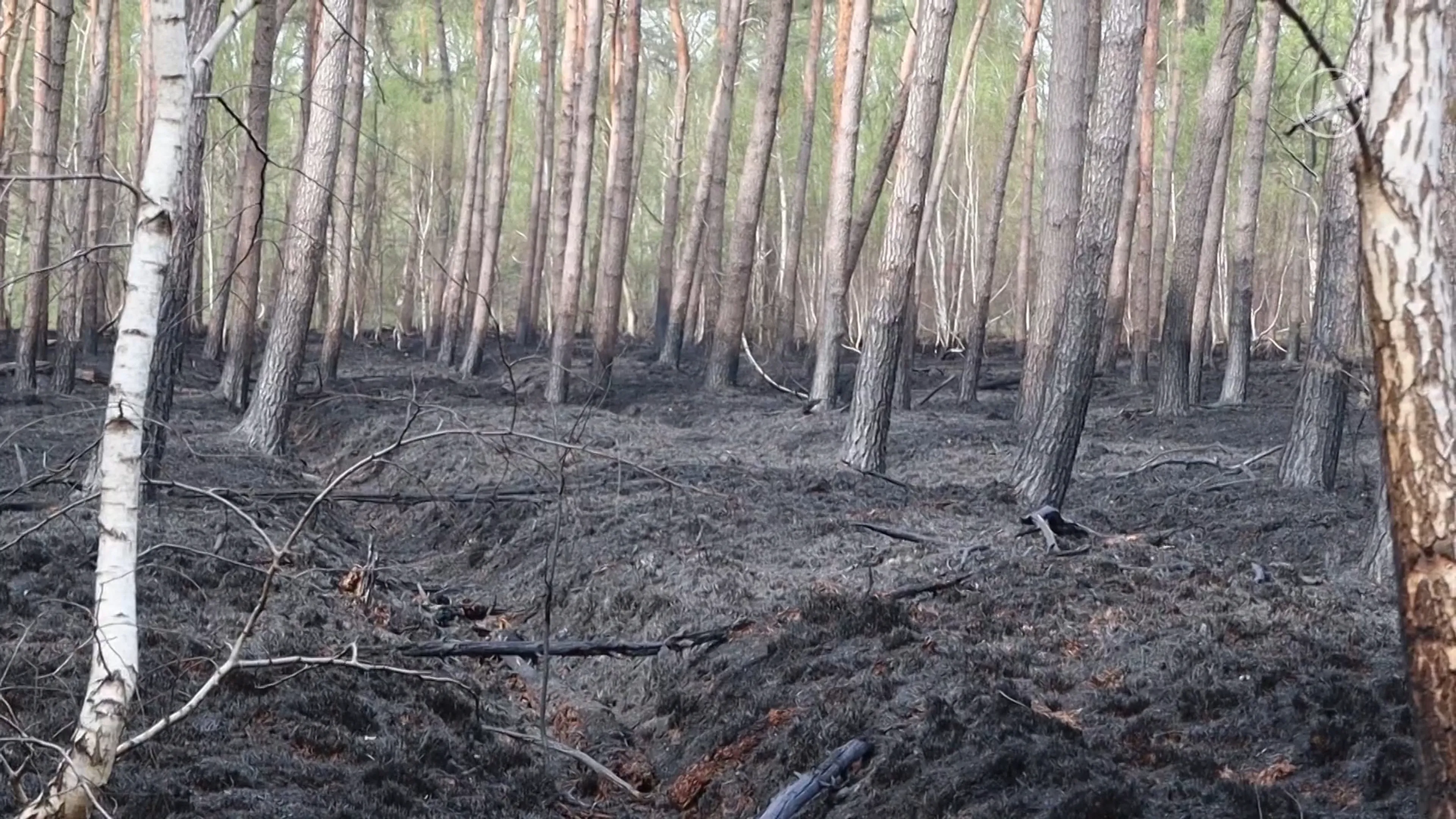 Natuurgebied in de as na grote brand: 'Nog niet zeker wat de schade precies is'