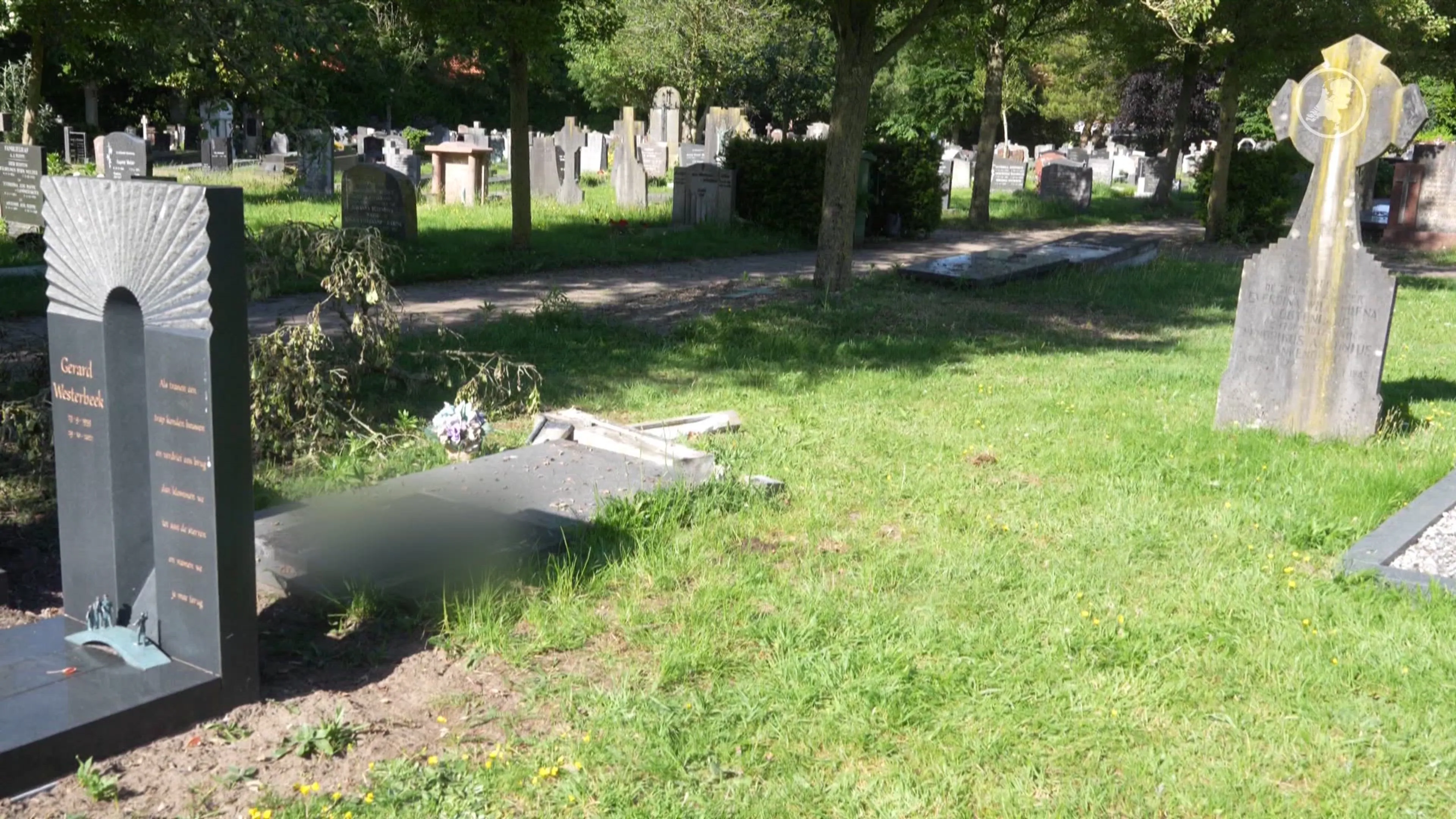 Graven vernield op kerkhof Zwolle, mogelijk door voertuig