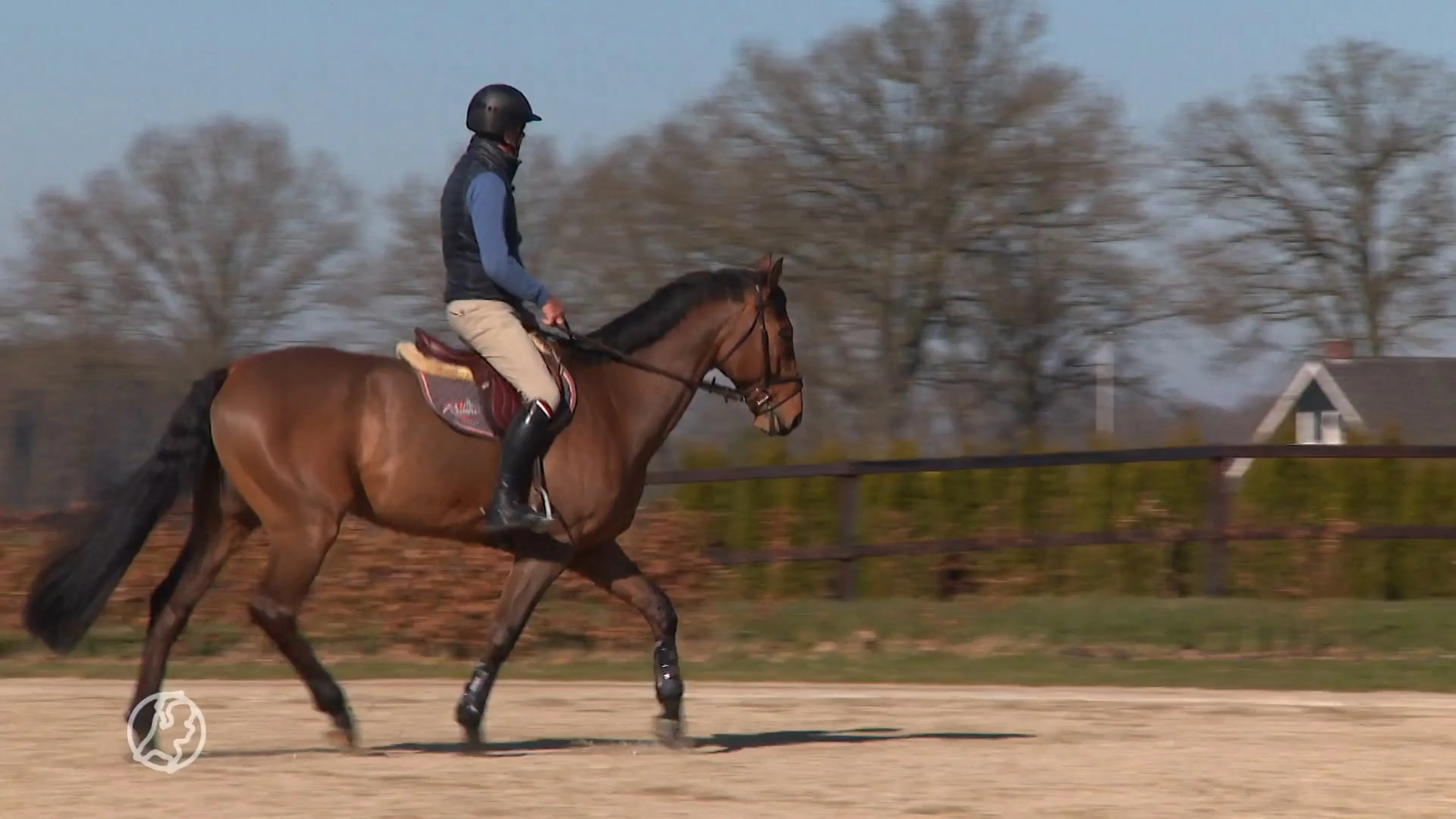 Besmettelijk paardenvirus nieuwe hindernis naar Spelen voor springruiter Jeroen