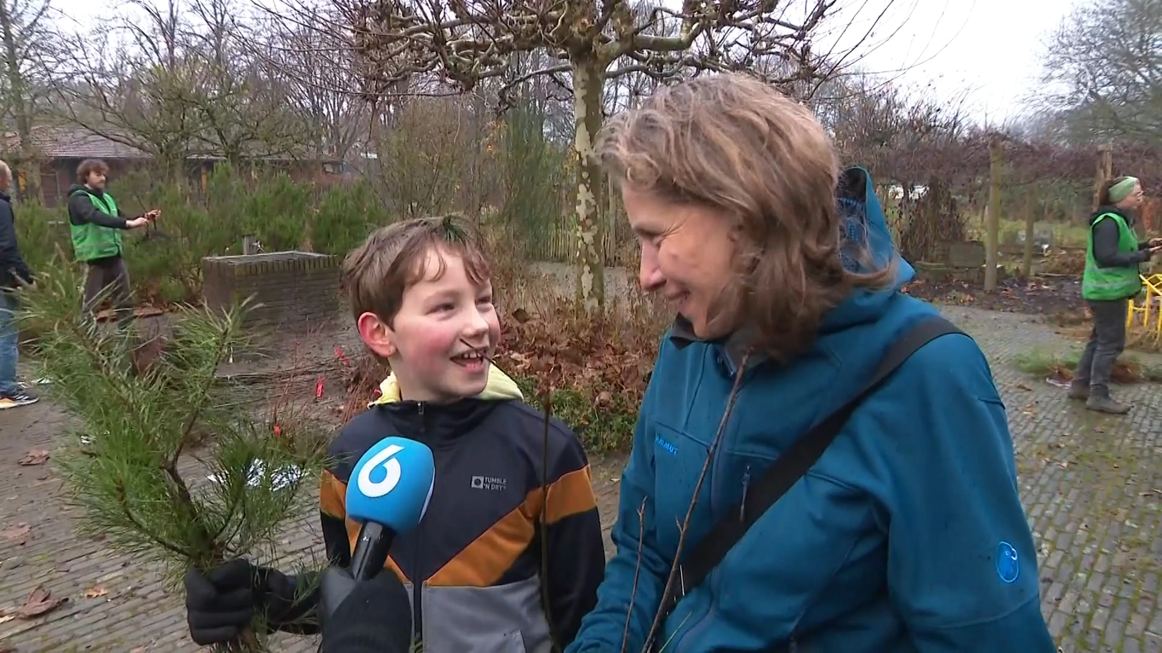 Gratis 'tweedehands' kerstbomen: voor een kerstsfeer zonder schuldgevoel