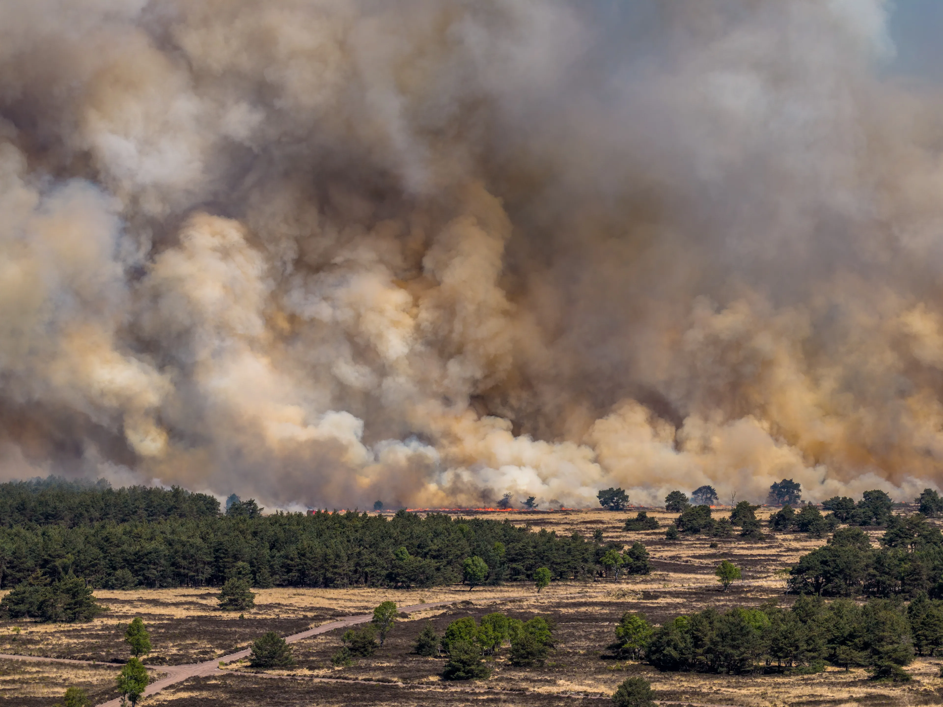 Natuurbrand bij 't Harde verzoorzaakt door defensie-oefening met spingstof