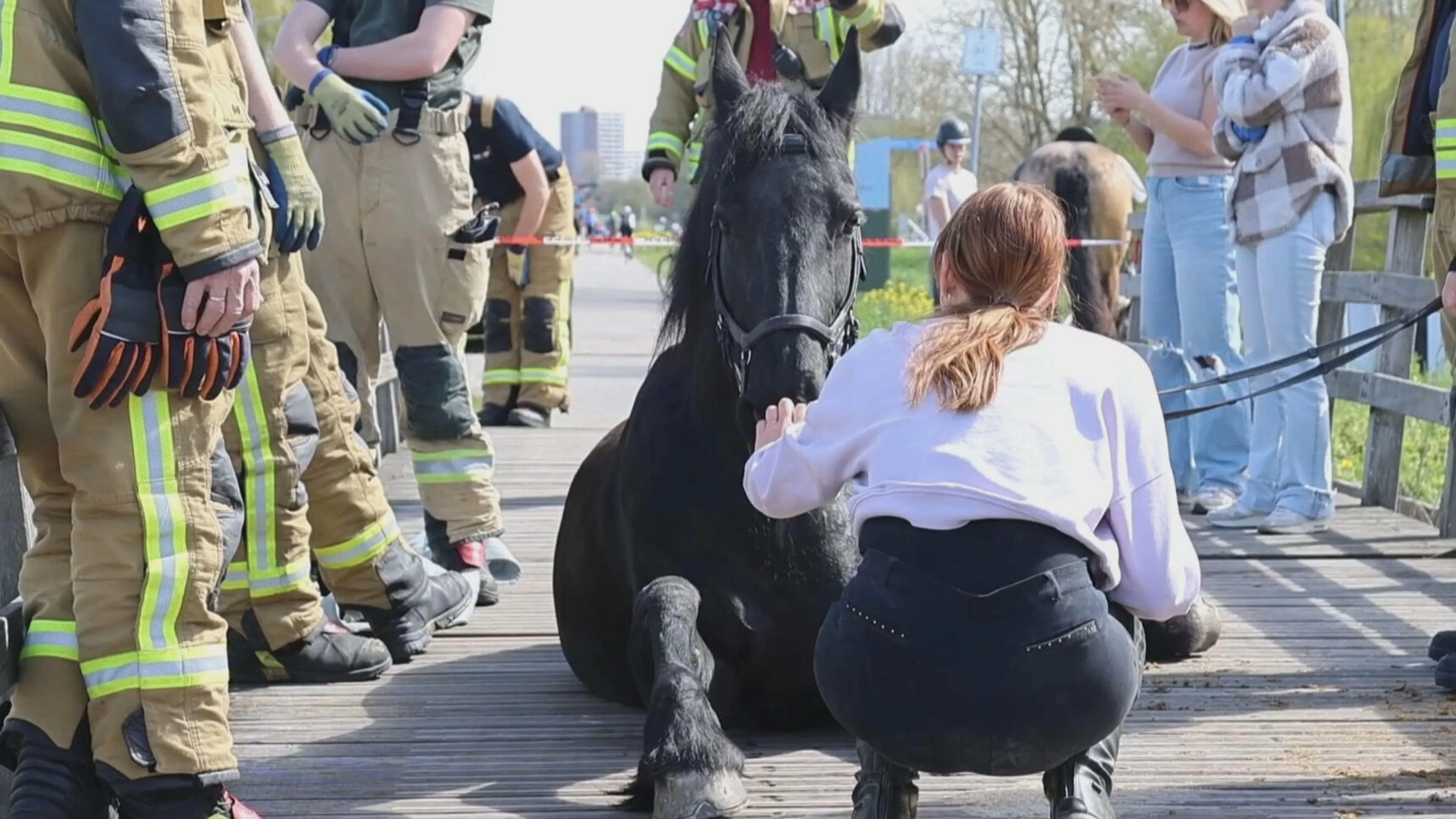 Paard zakt met been door brug in Bergschenhoek 