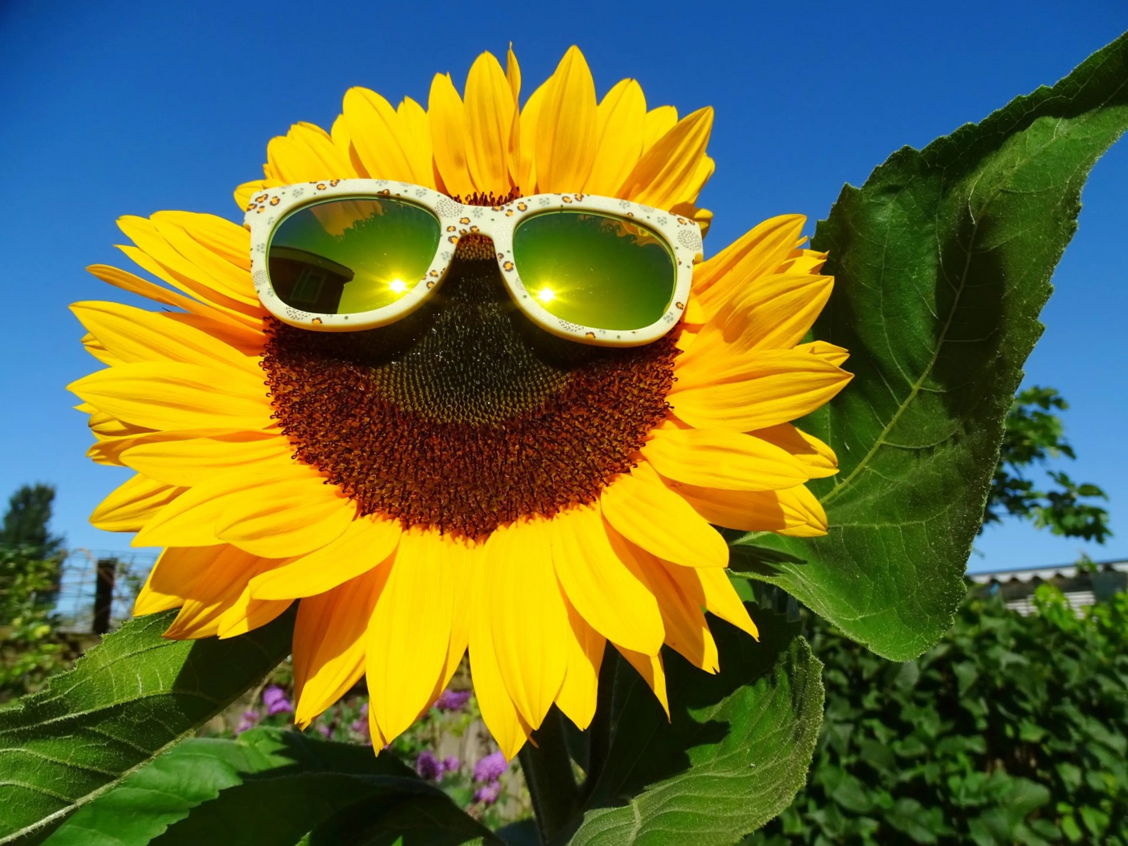 Warm, droog en grillig: zo extreem wordt mei dit jaar