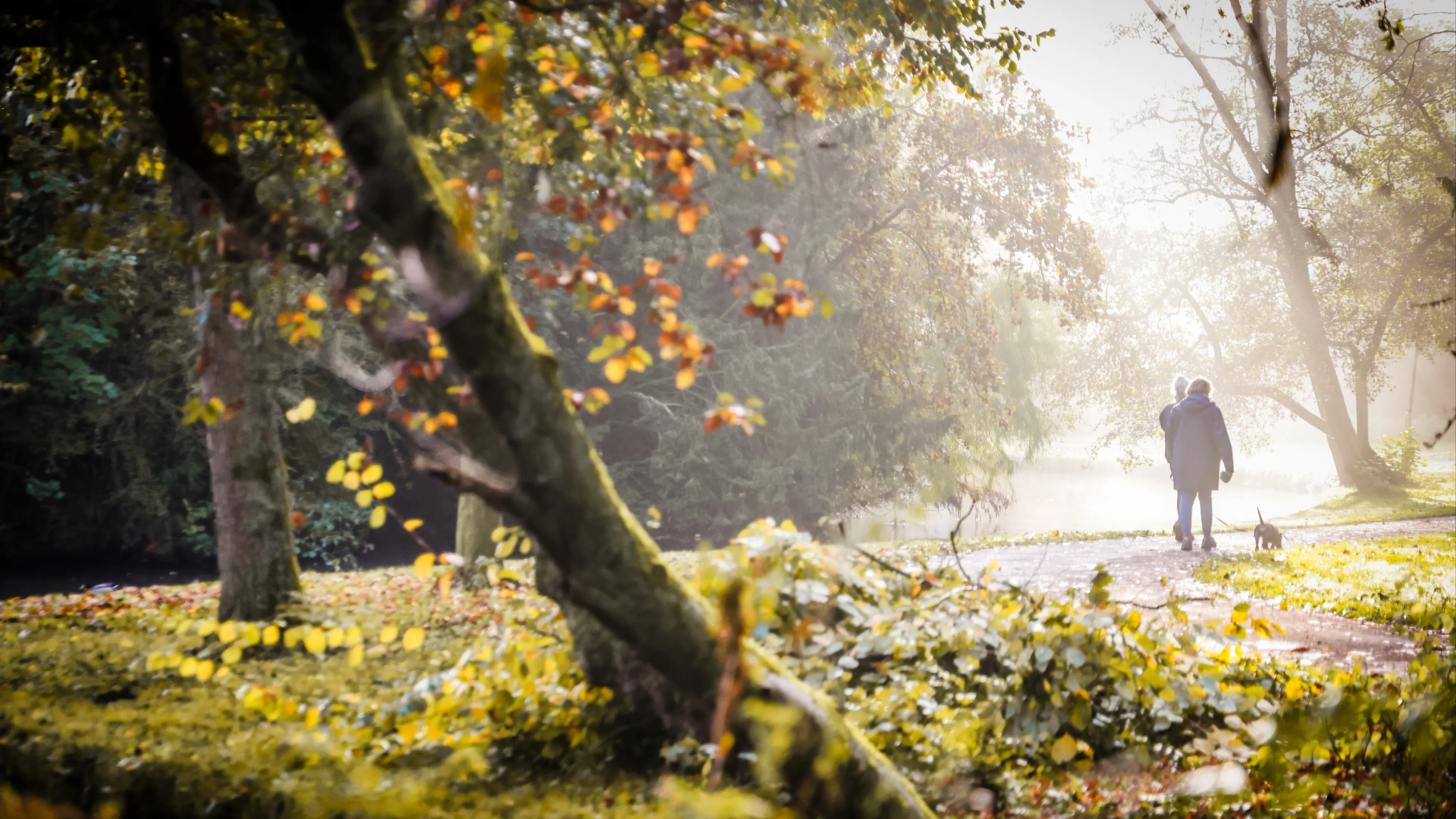 Opnieuw dag met buien, maar in het midden en noorden ook ruimte voor zon