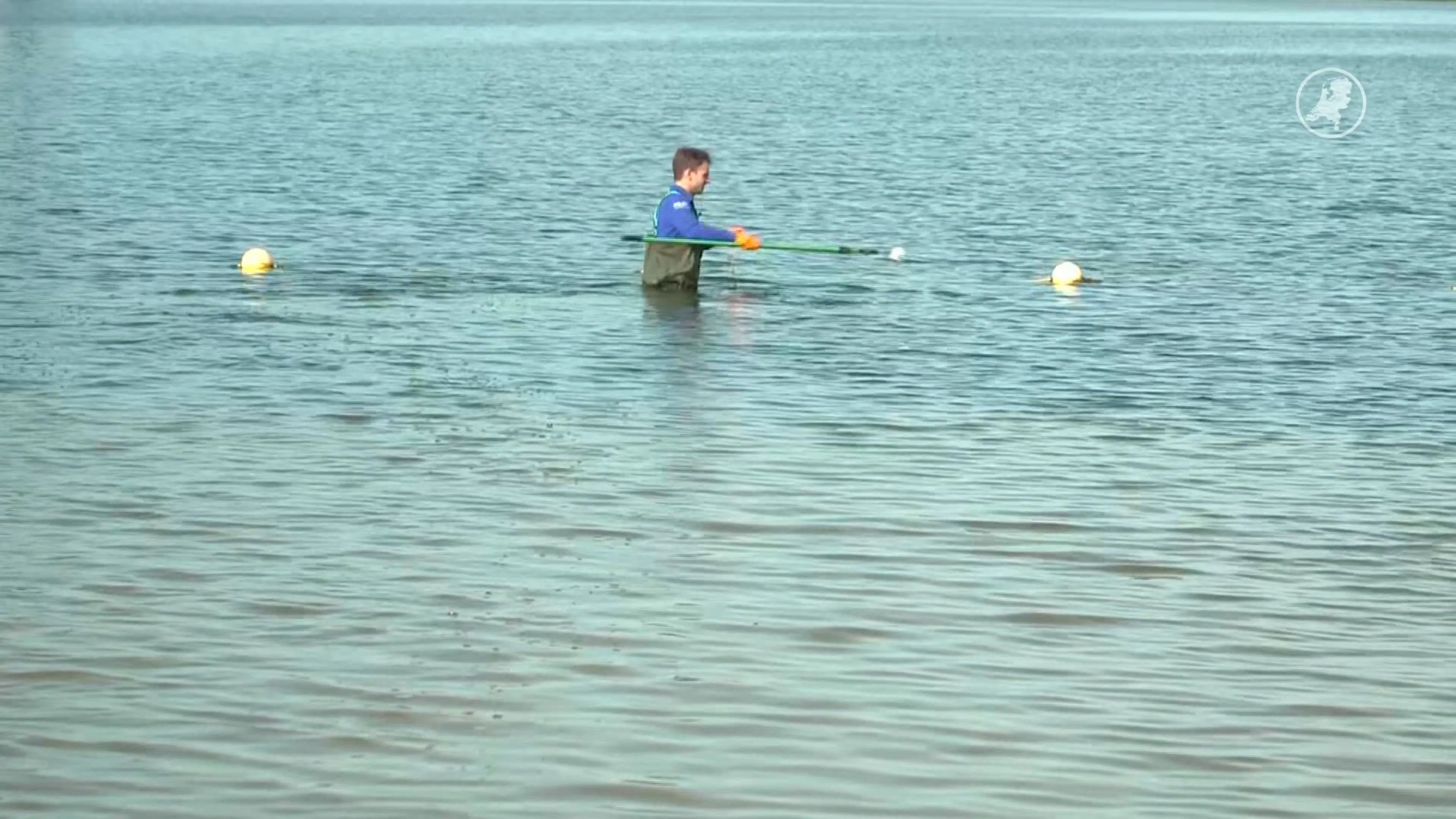 Duik in zwemplas niet altijd zonder gevaar: water niet altijd schoon