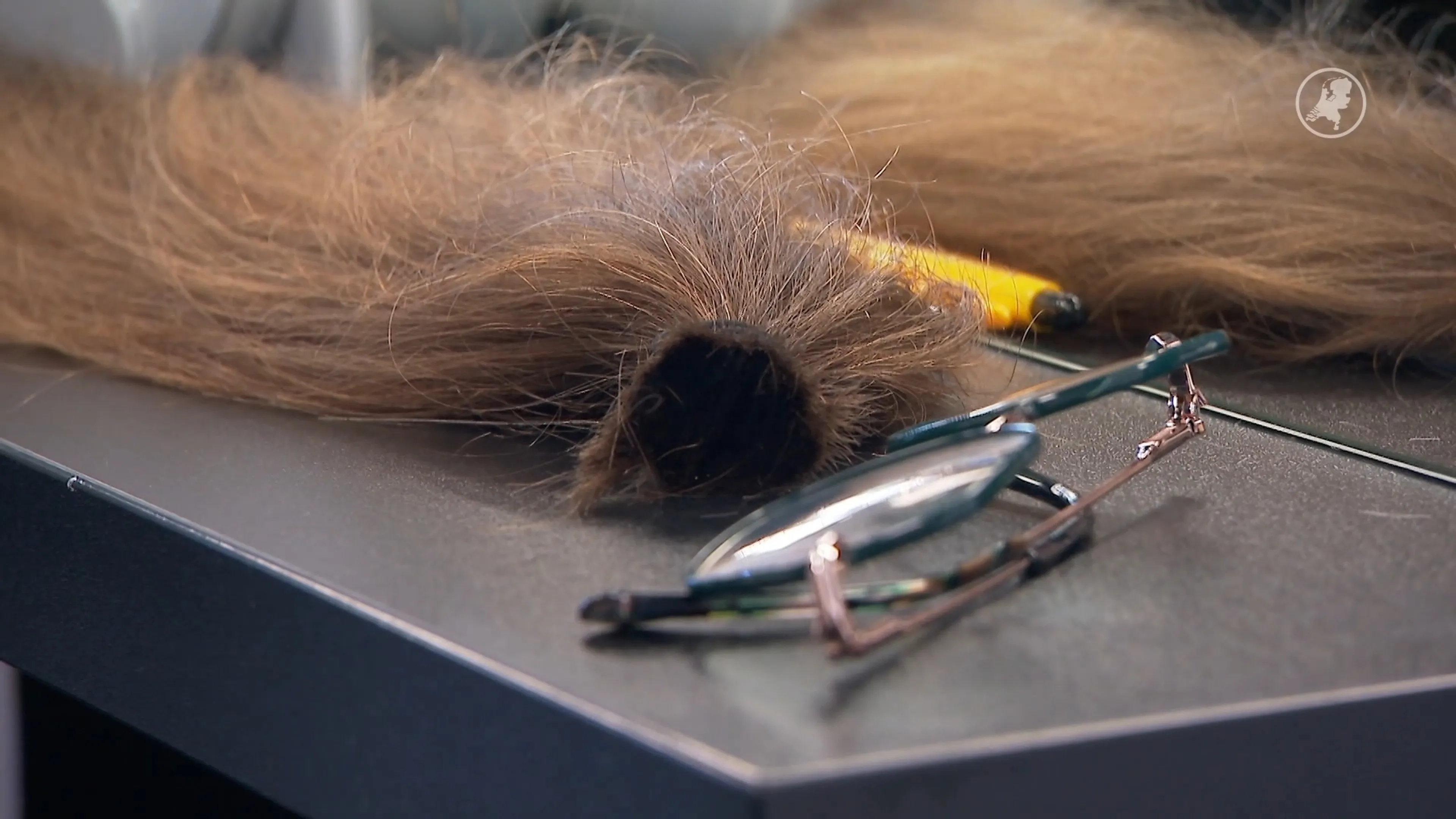 Haar doneren tegen kanker: Kapper in Wormerveer houdt knipmarathon