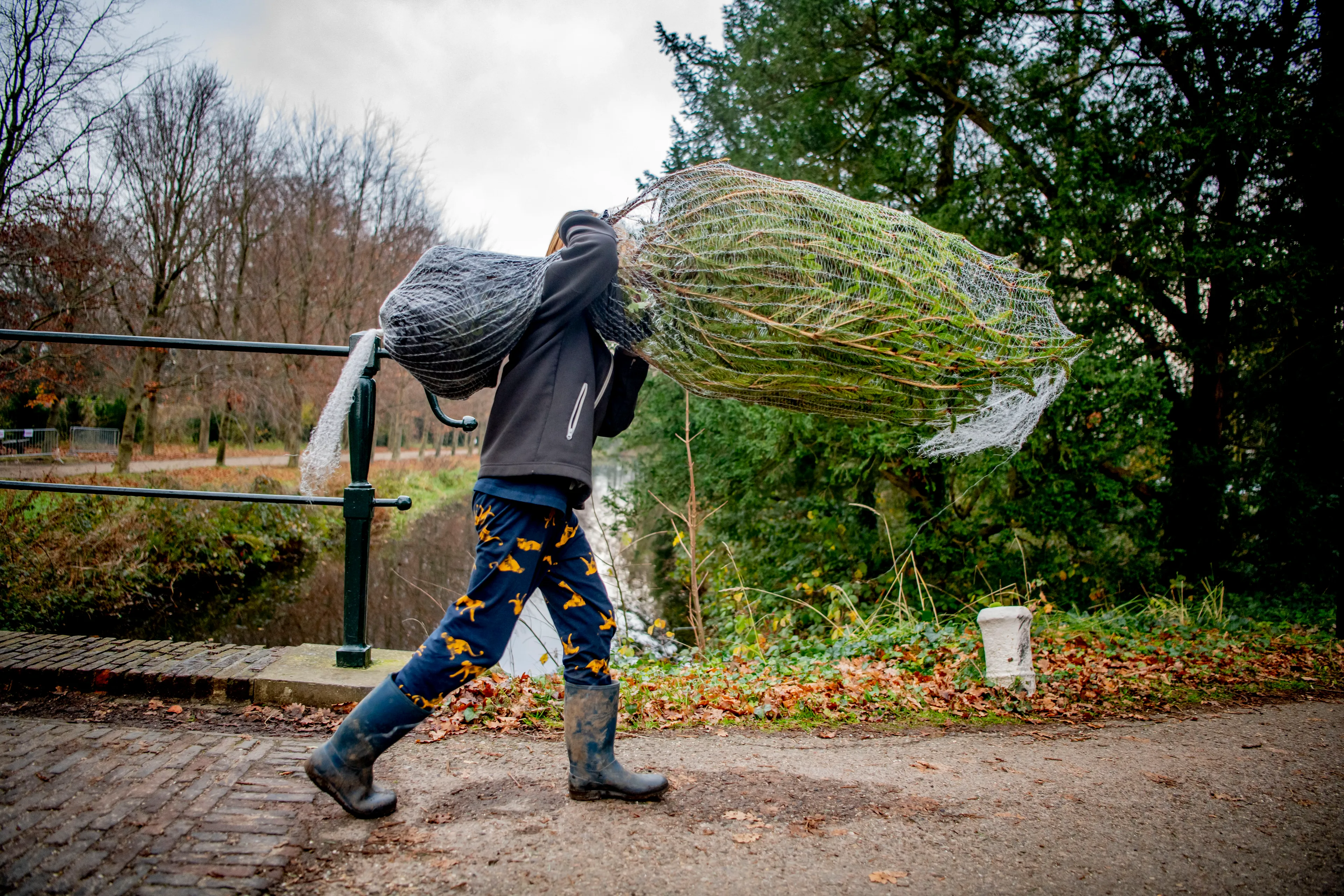 Kerstboom wegbrengen: wat zijn de regels?
