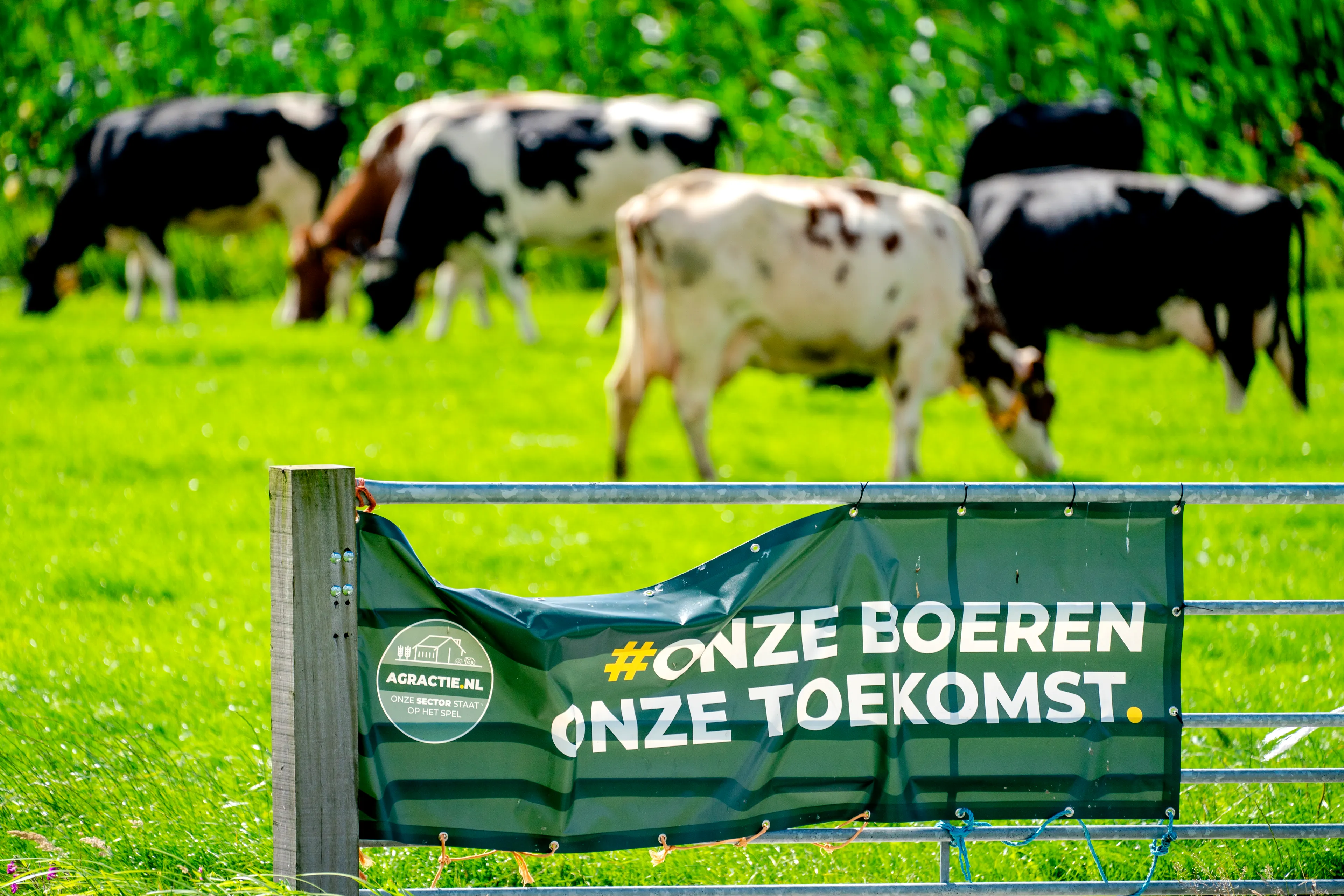 Vandaag dient kort geding tegen veevoermaatregel minister Schouten