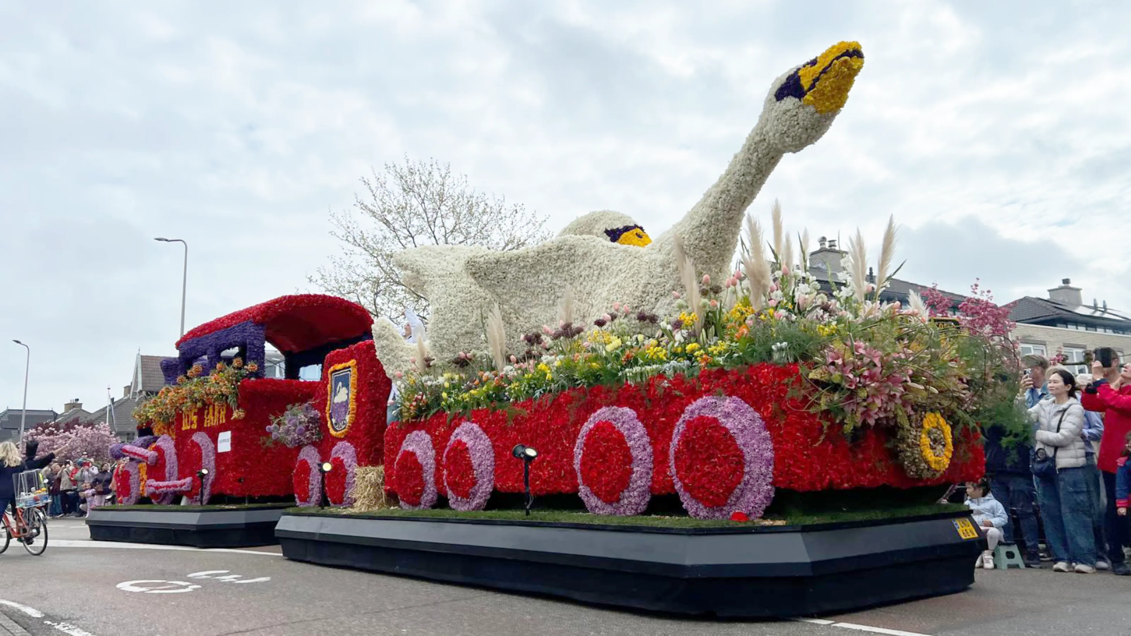 ZIEN: bloemenpracht trekt langs bij corso Bollenstreek