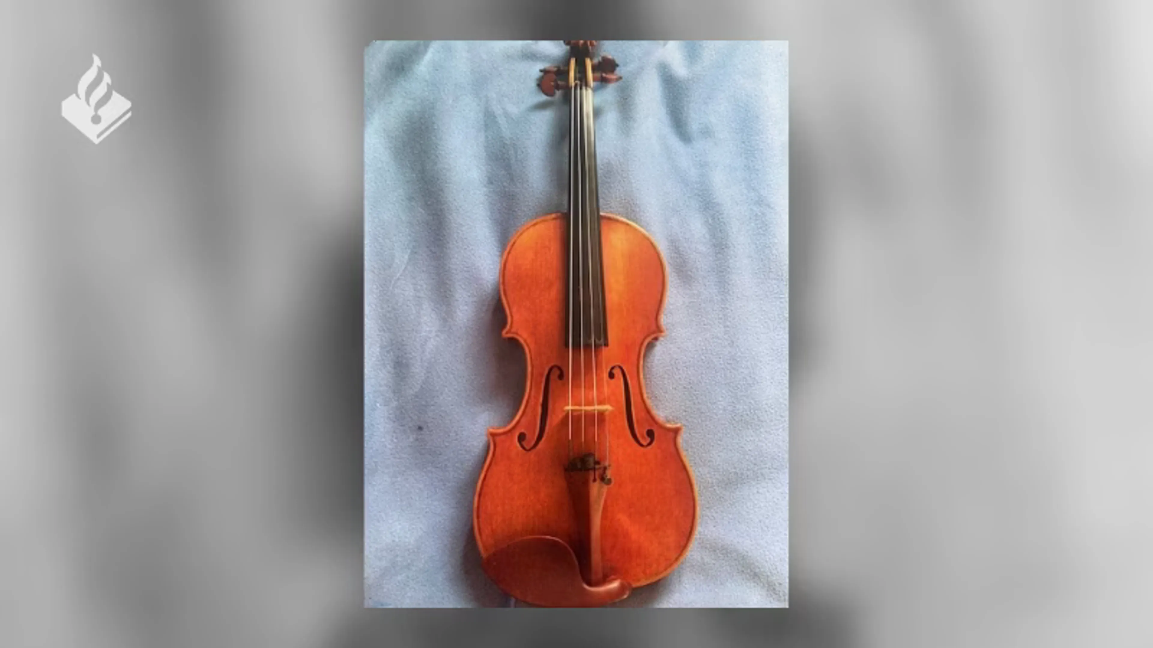Professionele violiste in trein bestolen van uniek instrument