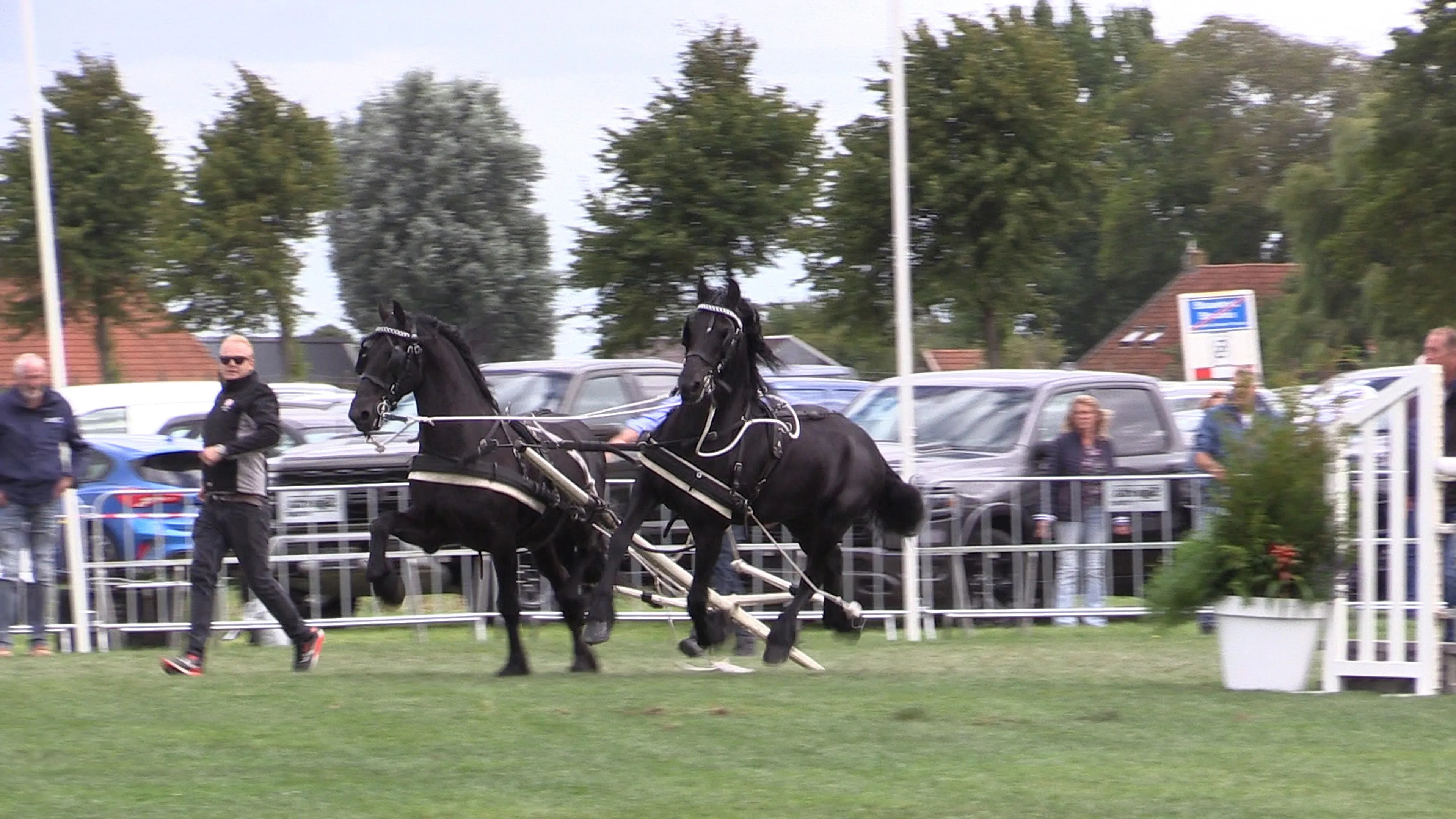 Koets slaat om tijdens paardenevent: paarden slaan op hol