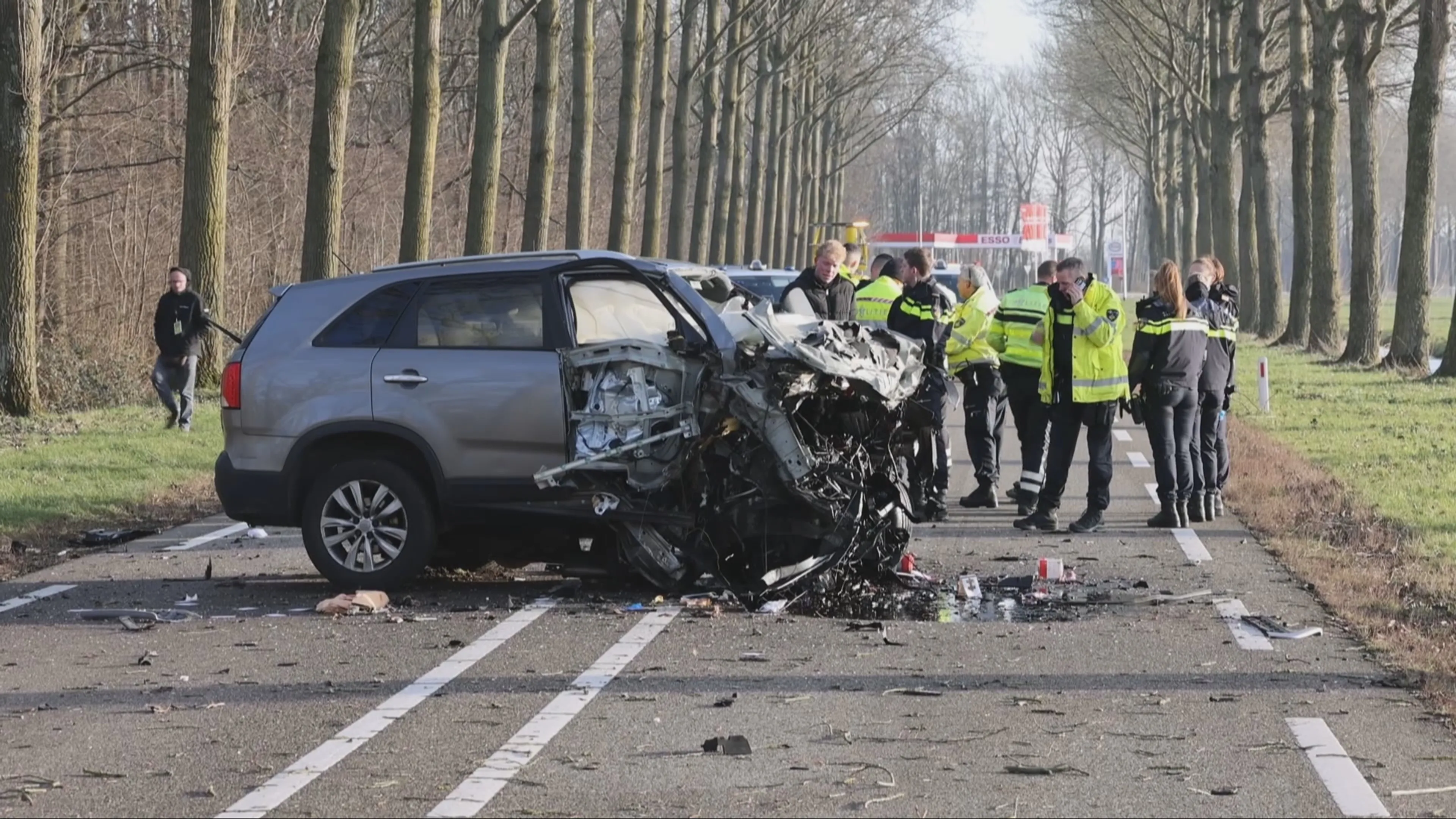 Man (64) overlijdt bij crash tegen boom op N214 bij Wijngaarden