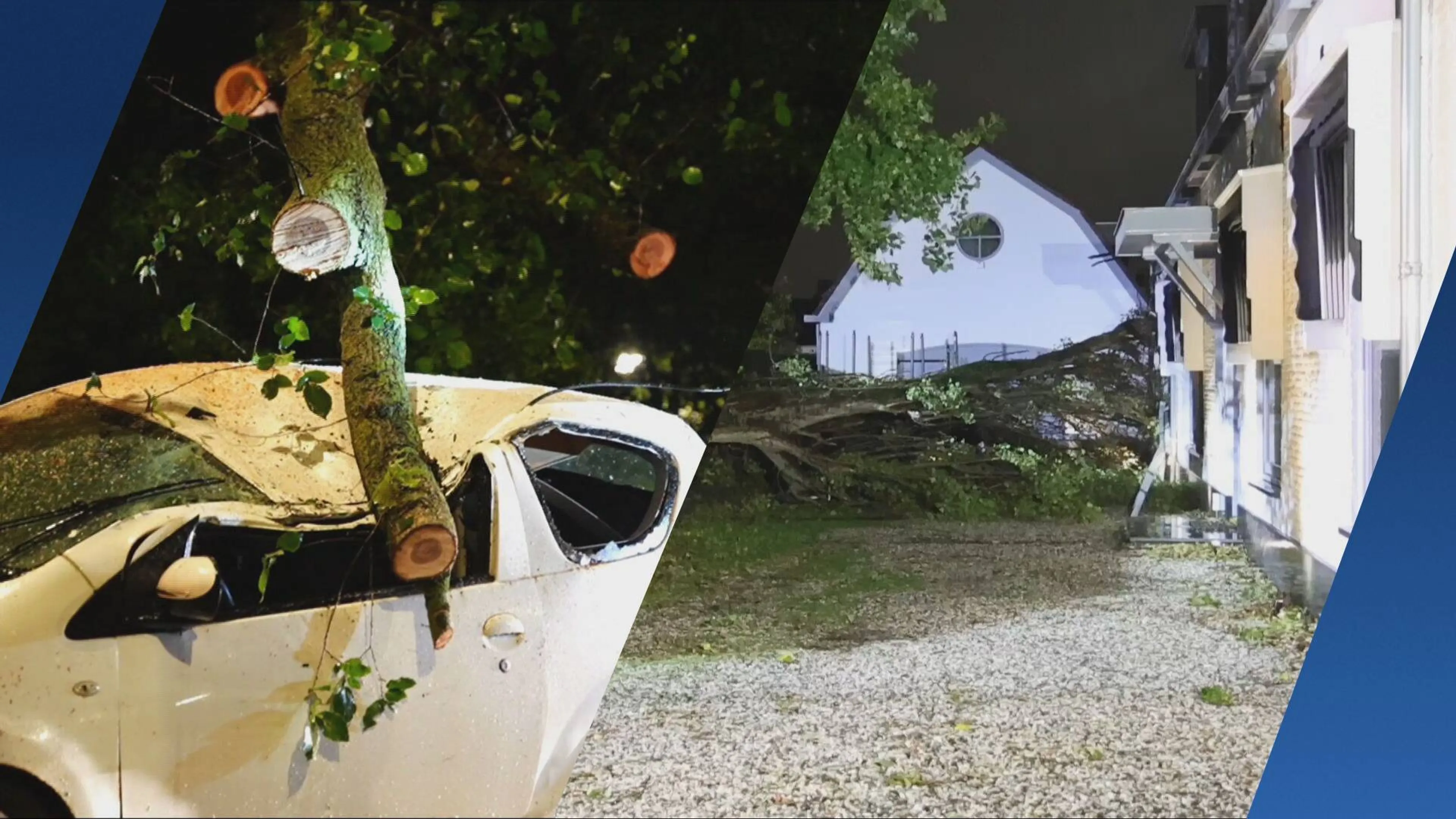 Verzwakte bomen bezwijken door Boelo: schade op meerdere plekken