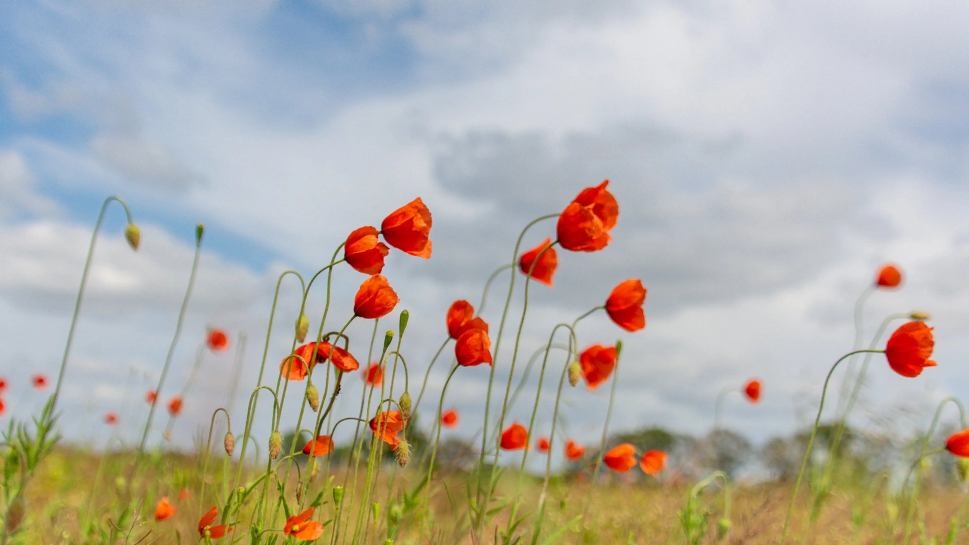 Zonnig en fraai pinksterweekend op komst