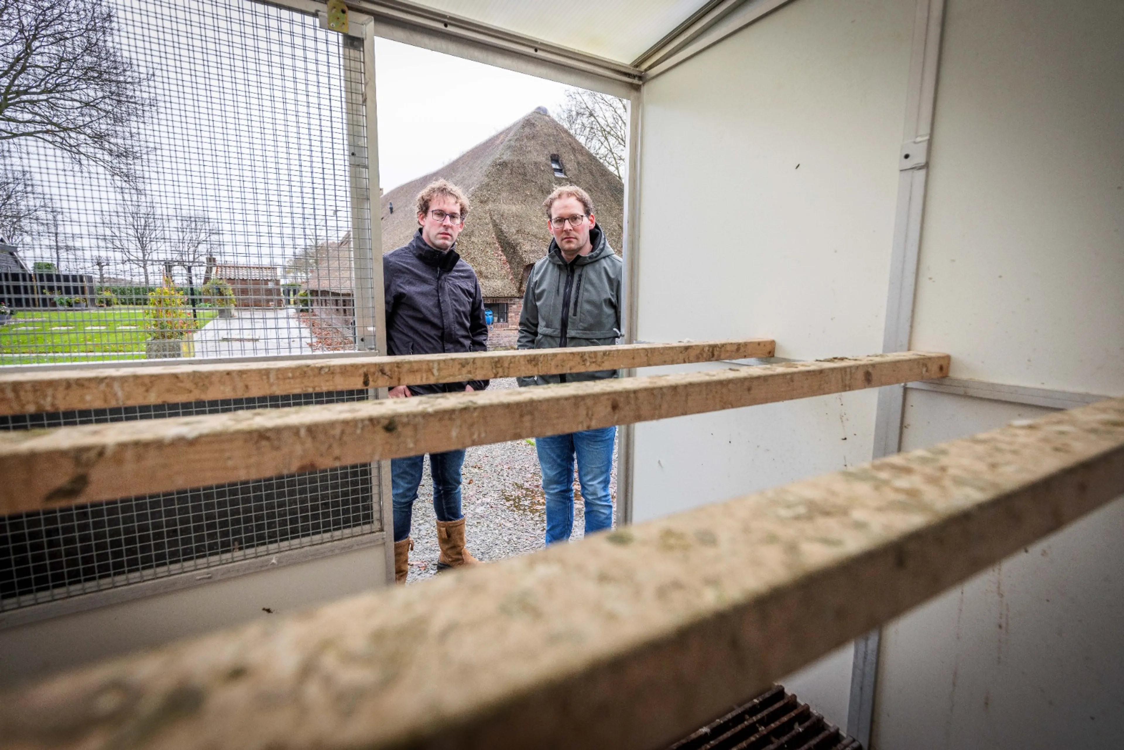 Litouwers horen tot 1 jaar cel tegen zich eisen voor stelen honderd exclusieve postduiven