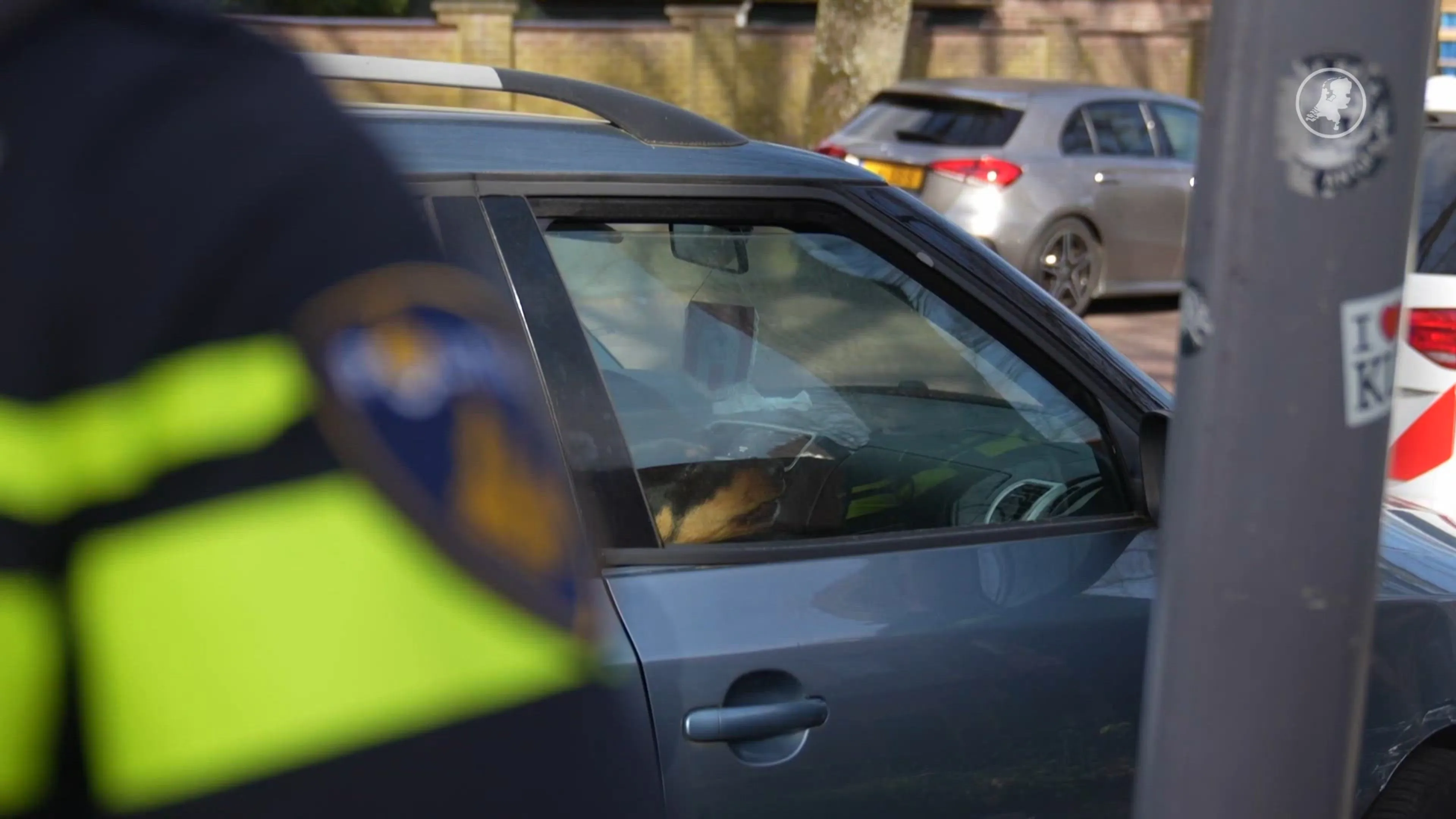 Hond zit 24 uur vast in auto, politie bevrijdt het dier