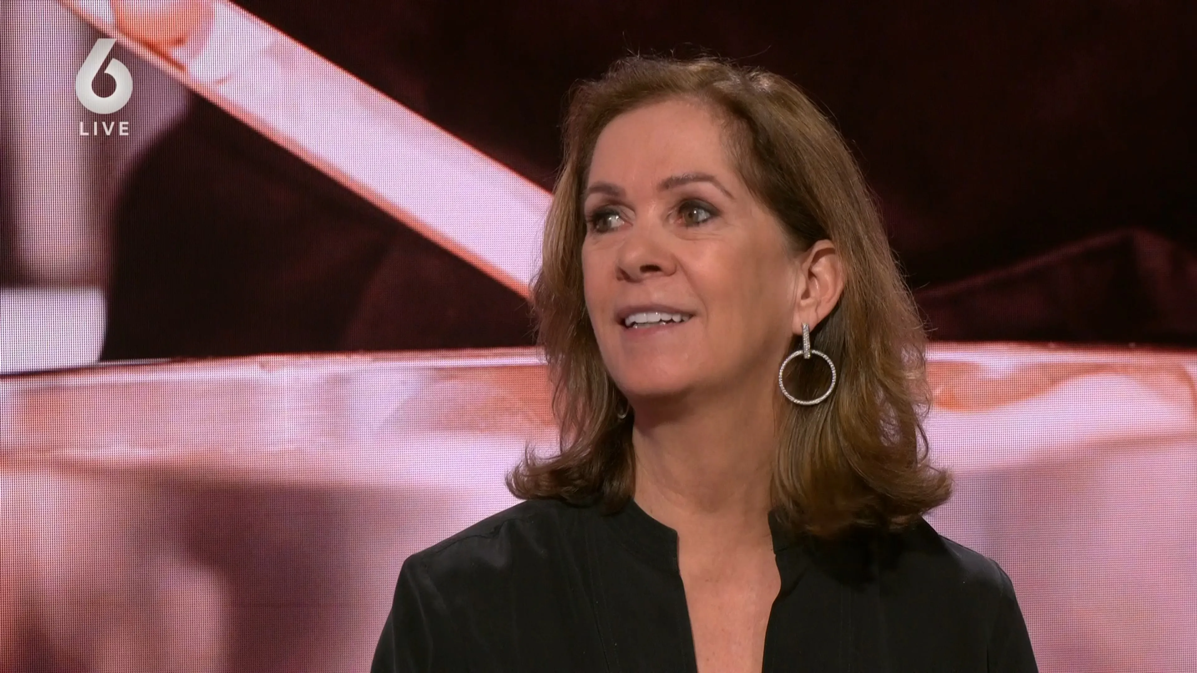 Opiniemaker Annemarie van Gaal over ‘bullshitbanen’