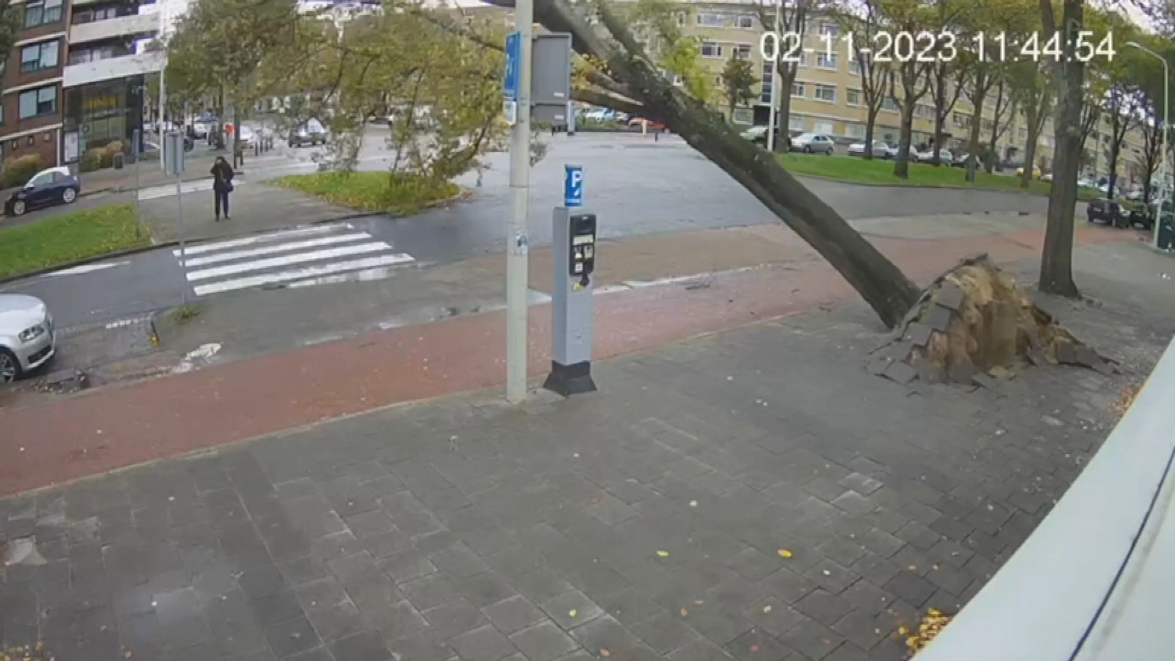 Boom valt op vrouw in Den Haag, Corina redt haar: 'Ze lag te kermen van de pijn'