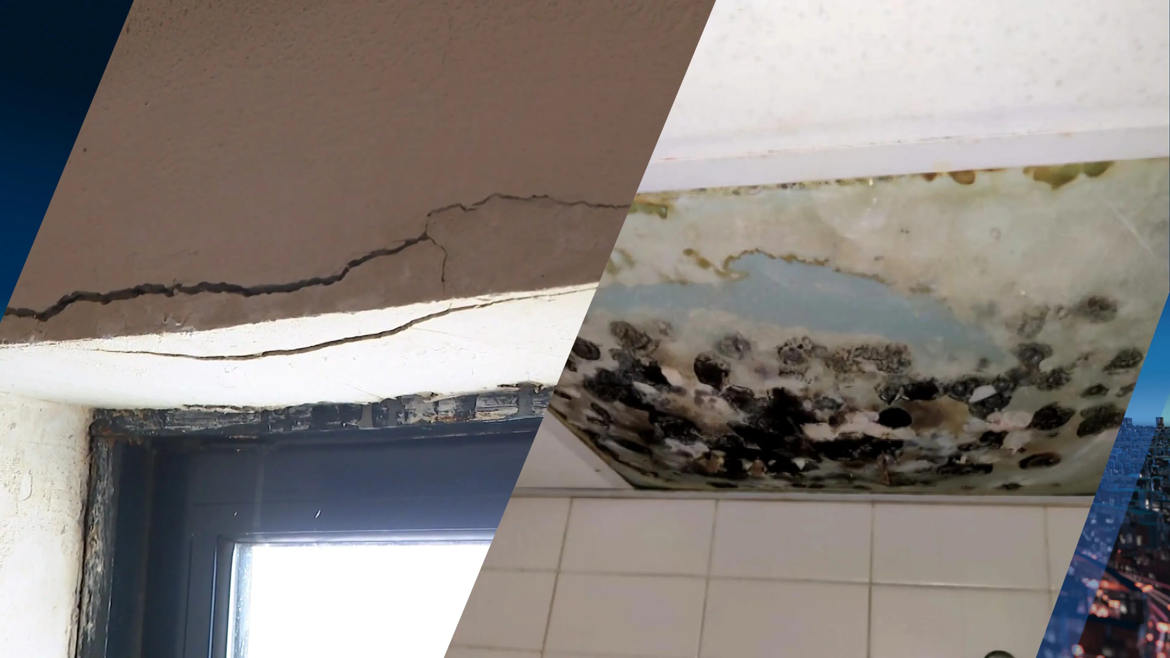 Studenten slapen tussen bedwantsen, schimmel en ratten in stinkende flat