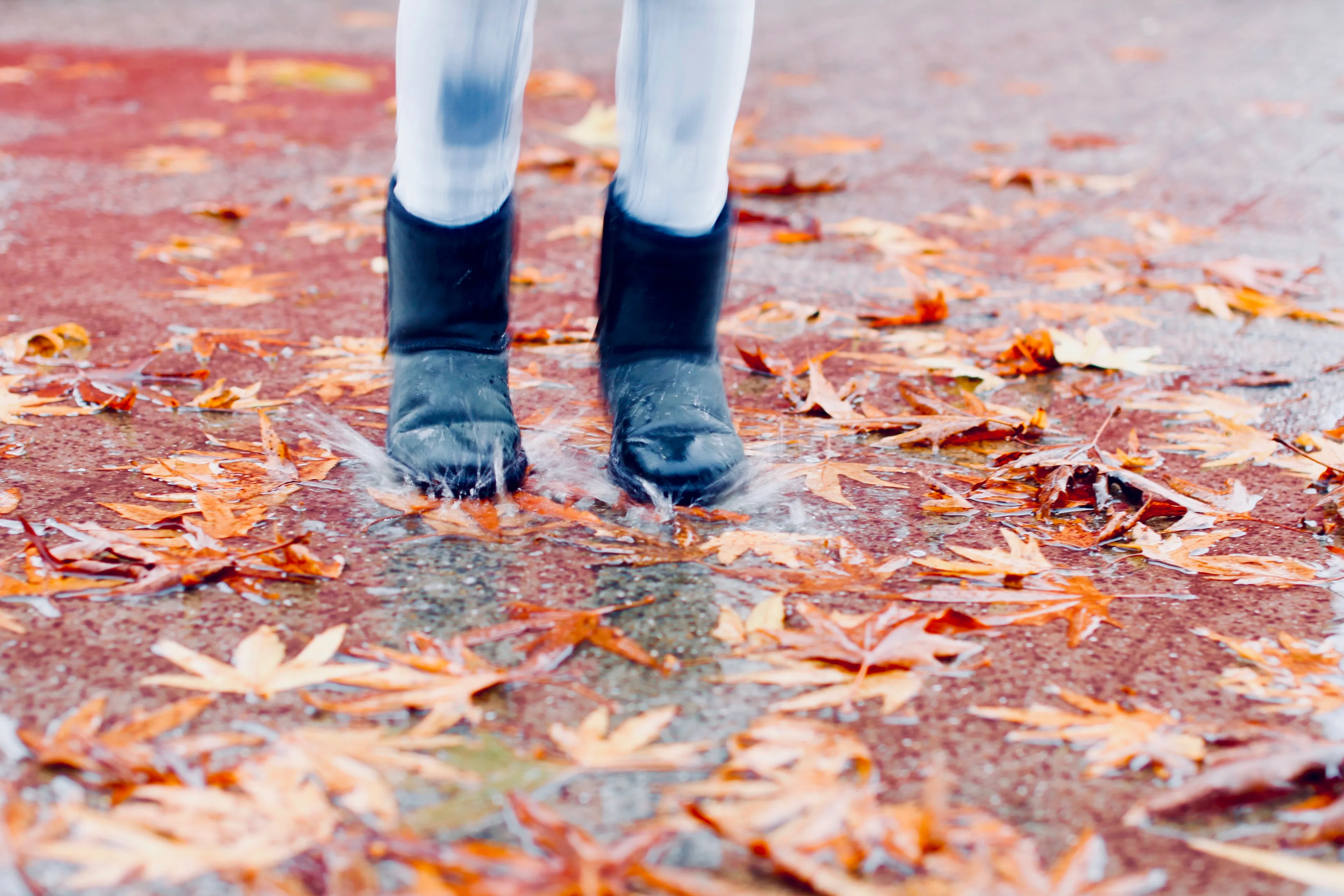 Herfstvakantie in het noorden begint dit jaar koud, nat en winderig