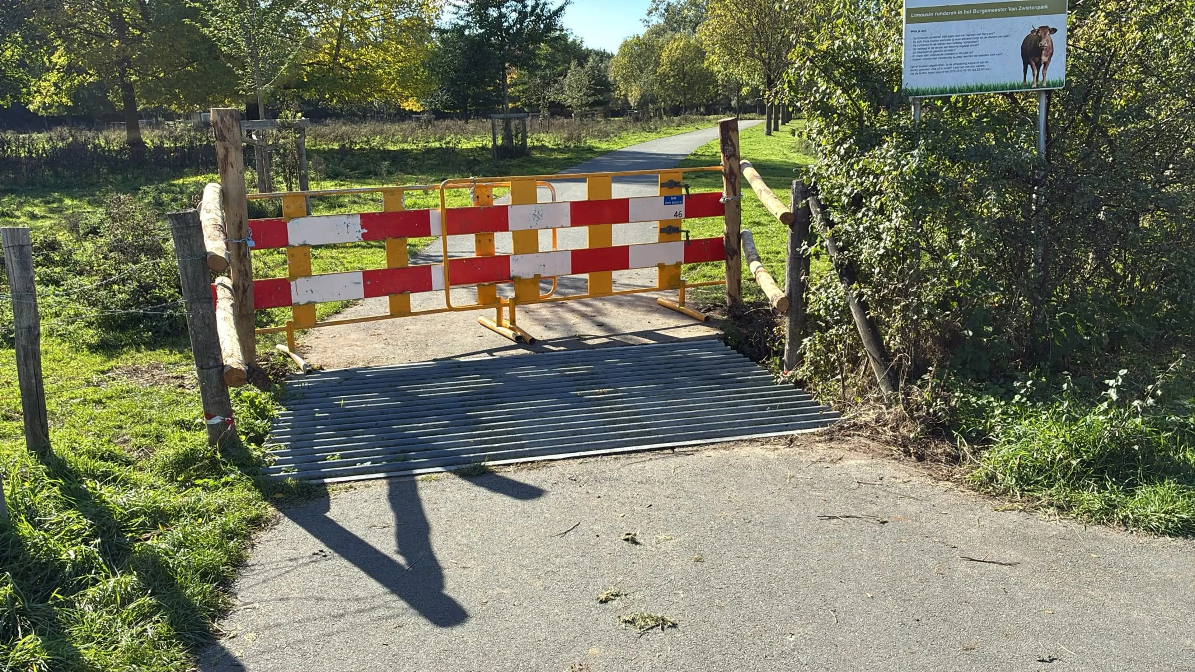 Slimme stier ontdekt ontsnappingsroute: deel park in Den Bosch afgesloten