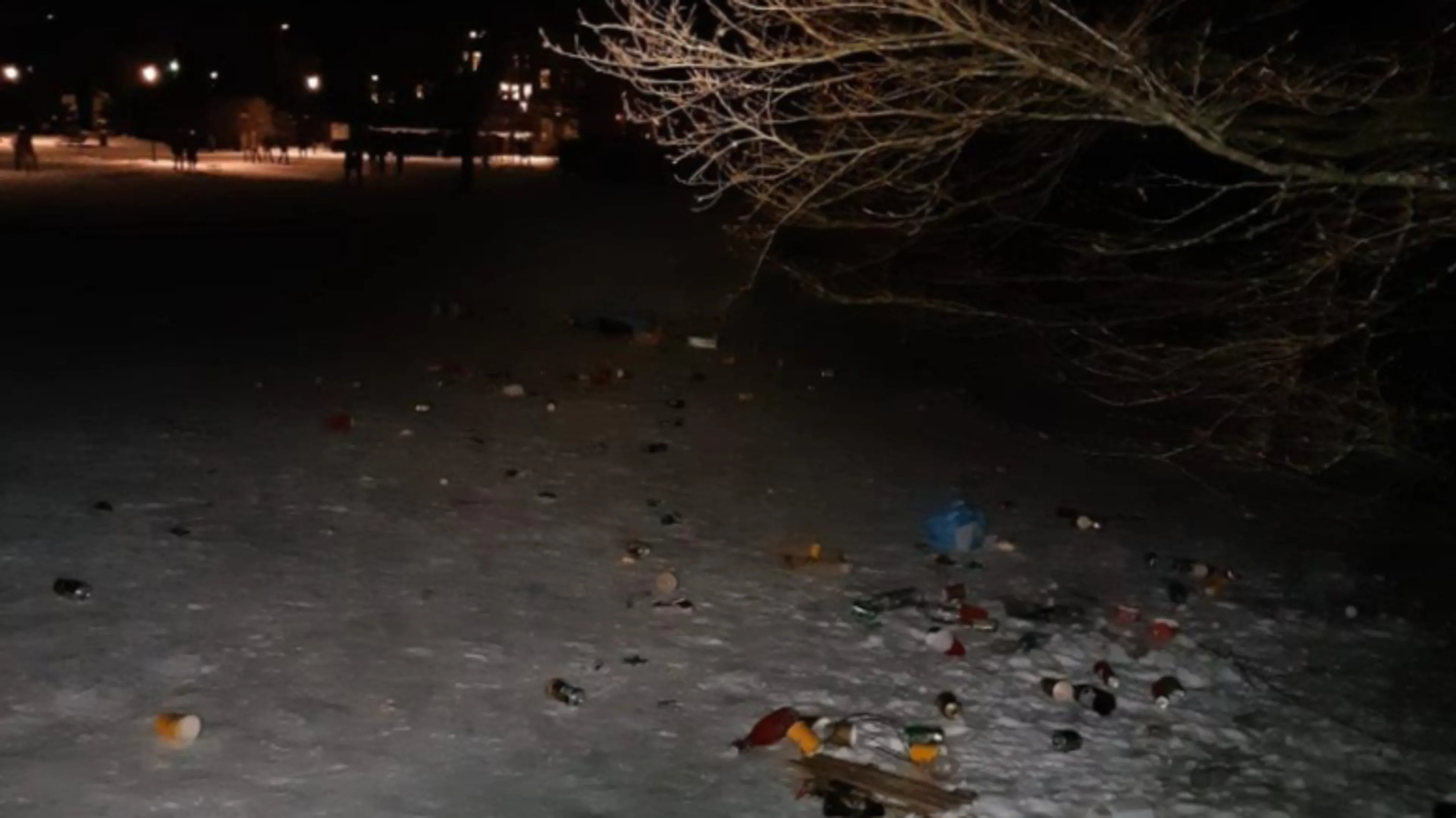 Park verandert in vuilnisbelt door vluchtende hangjeugd in Arnhem