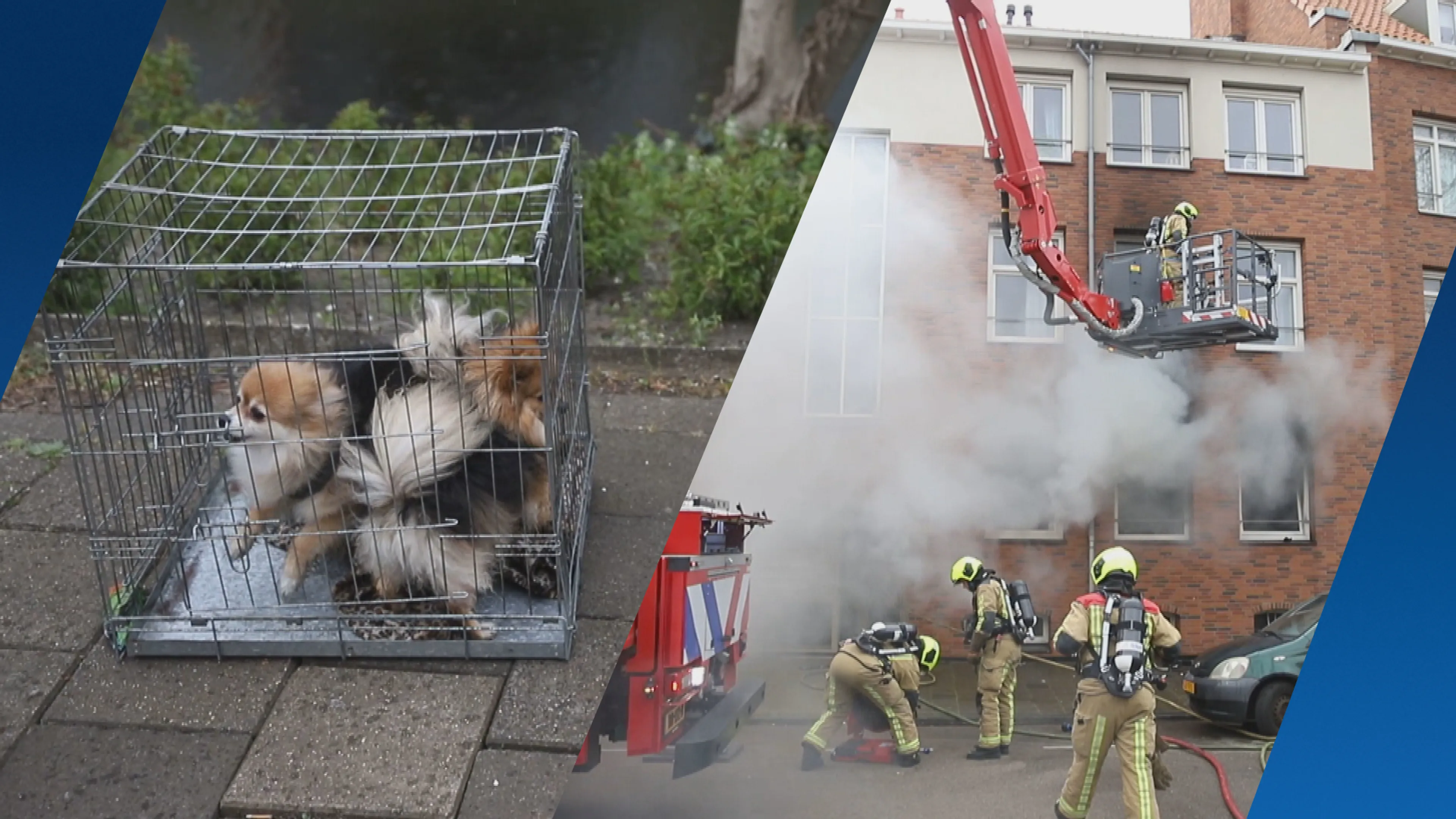 Brandweer redt meerdere mensen en dieren uit brandende woning in Den Haag