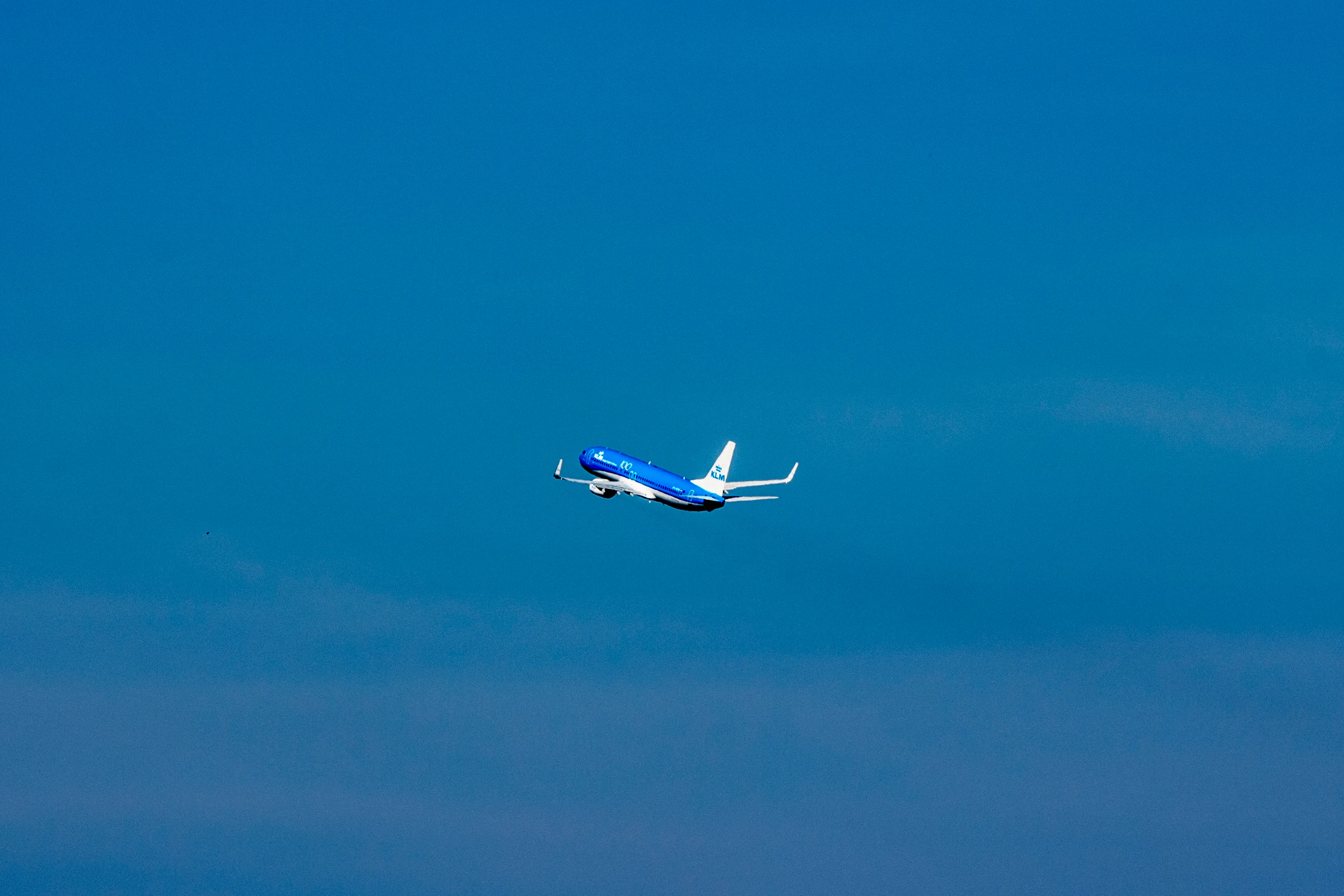 Staatssteun voor KLM, maar hoe geliefd is de 'blauwe zwaan' eigenlijk?