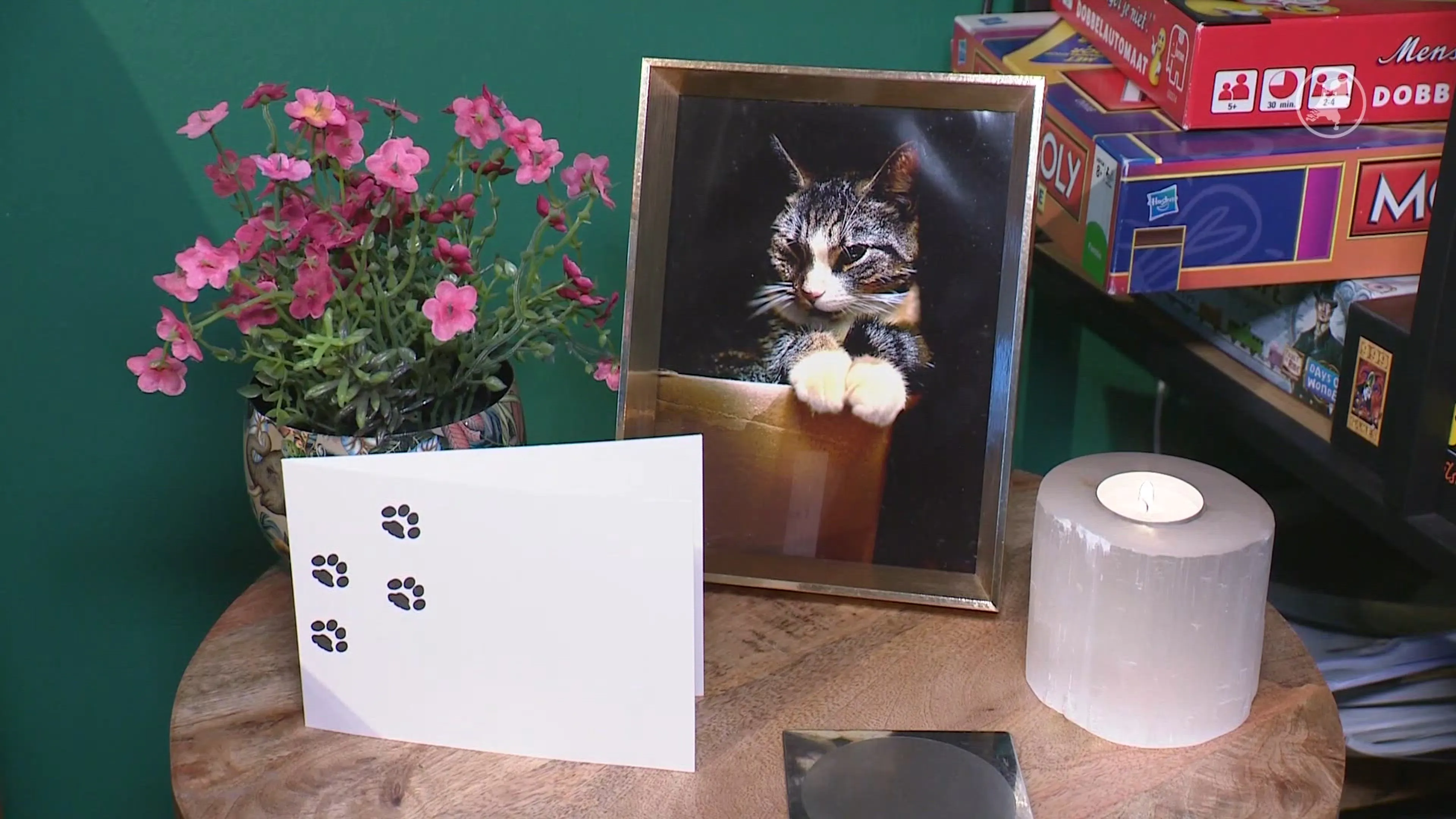 Kattenhater in Houten: nog meer katten ziek, eigenaren voelen zich niet serieus genomen